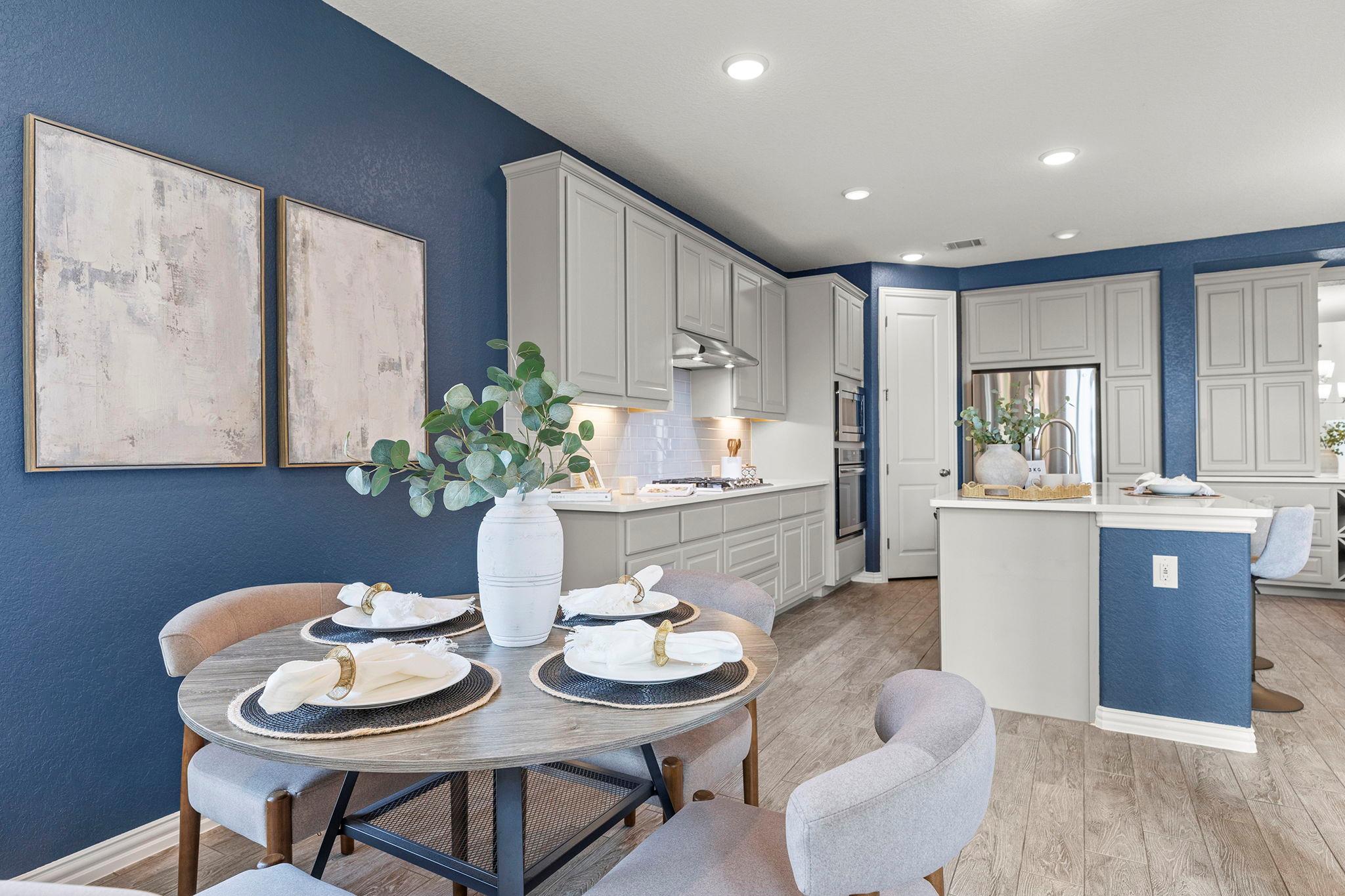 3036 Columbus Loop, Round Rock, TX 78665