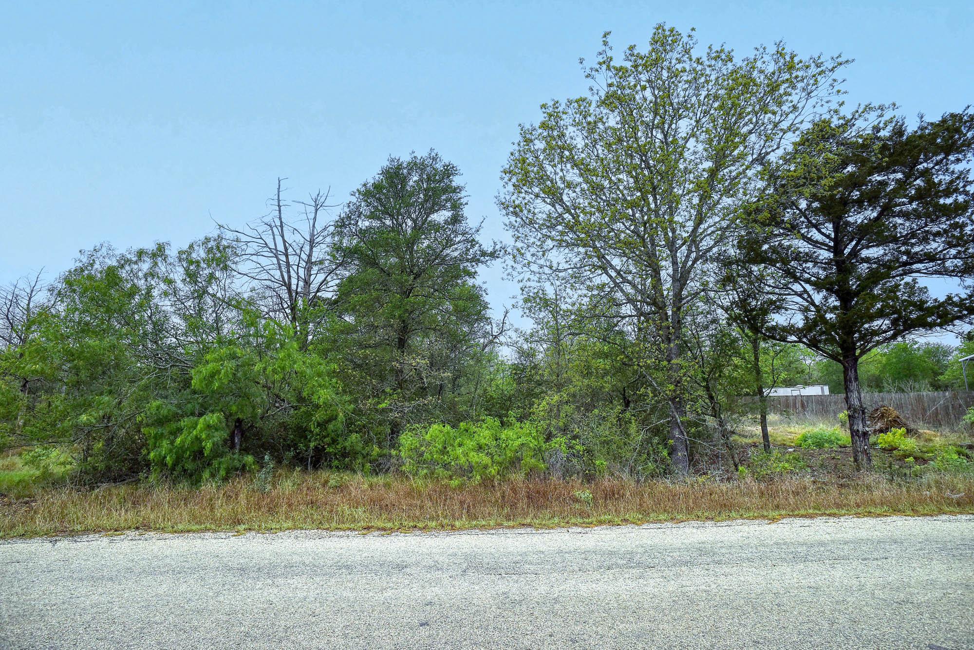 TBD N Gaines Rd, Cedar Creek, TX 78602