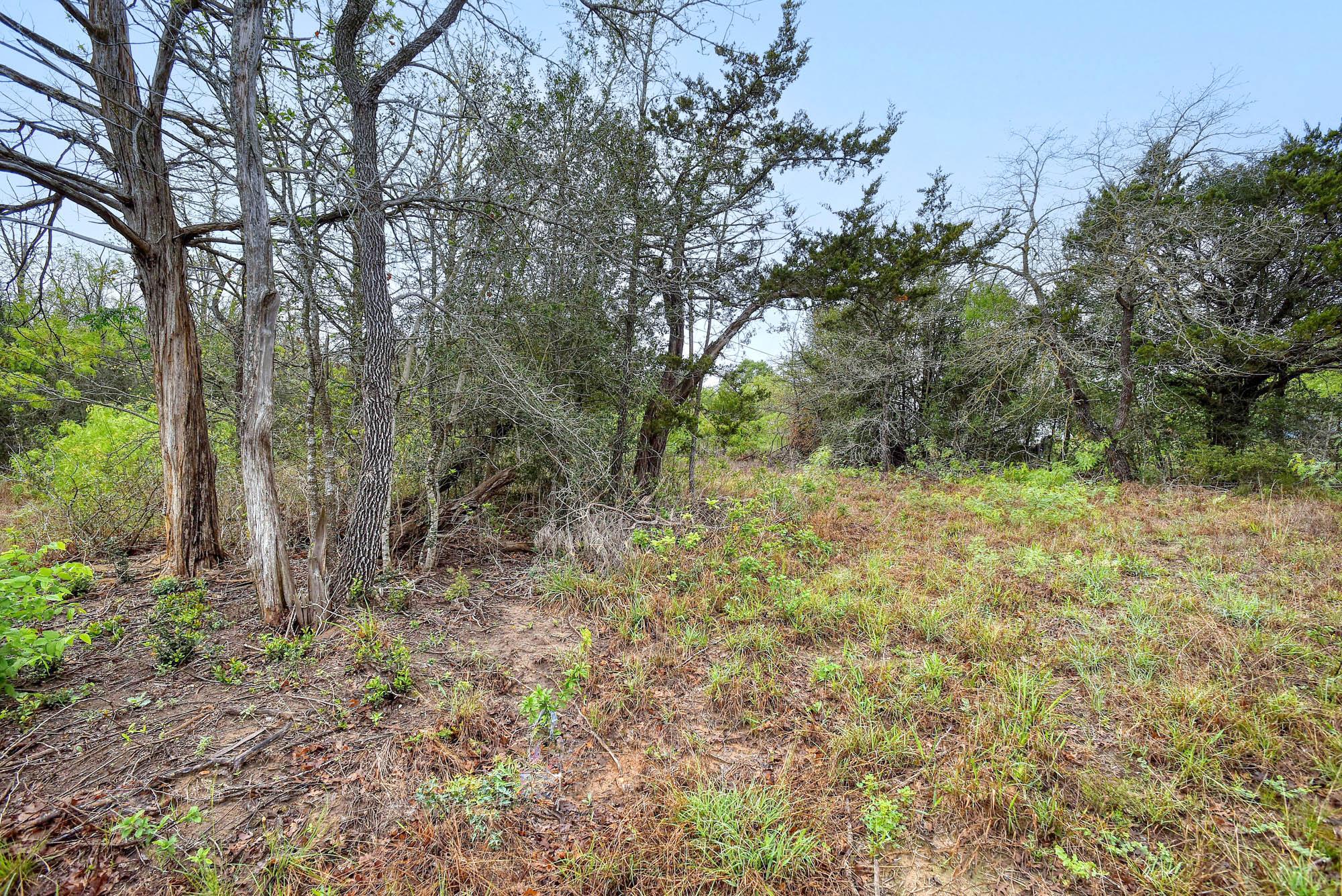 TBD N Gaines Rd, Cedar Creek, TX 78602