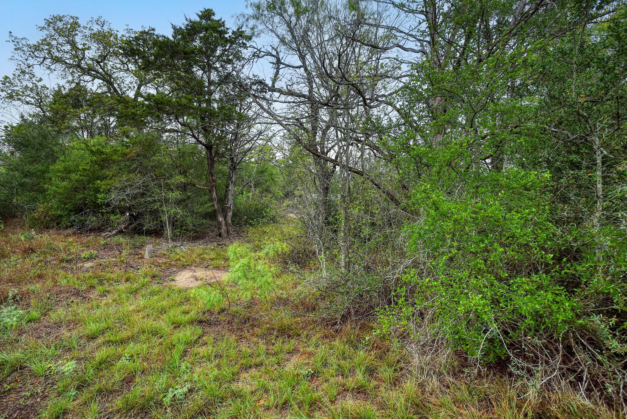 TBD N Gaines Rd, Cedar Creek, TX 78602