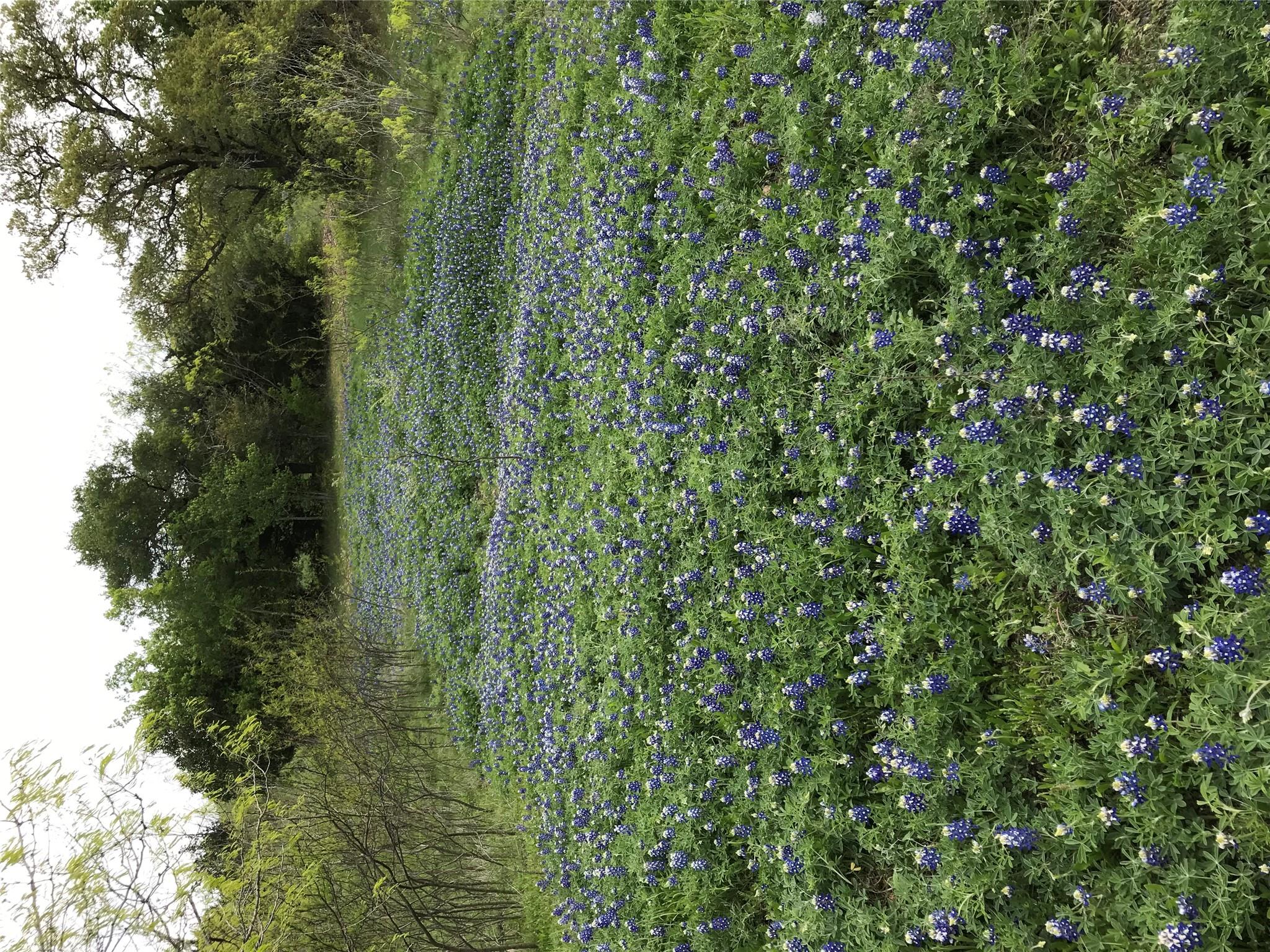 15501 Goforth Rd, Buda, TX 78610