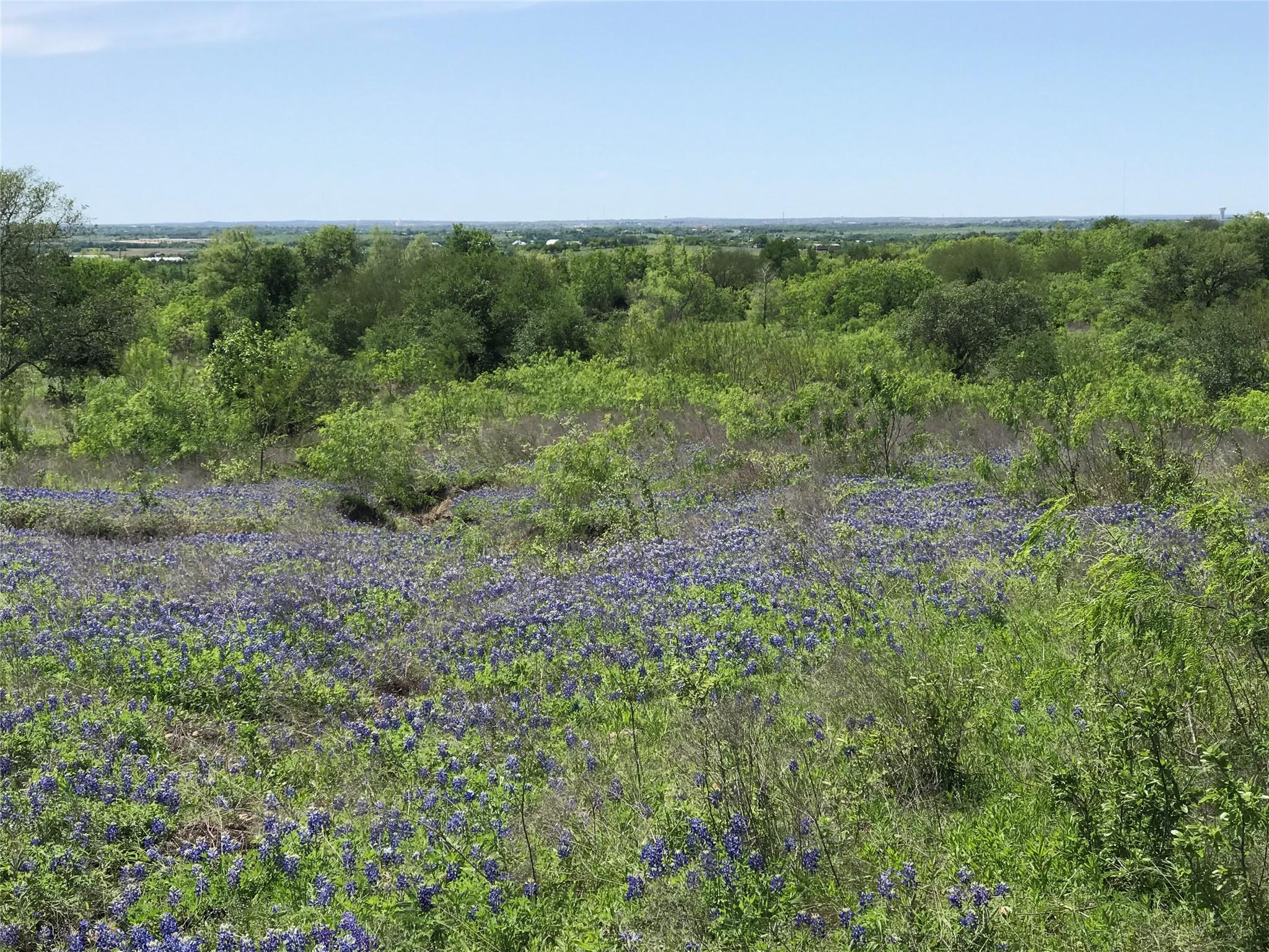 15501 Goforth Rd, Buda, TX 78610