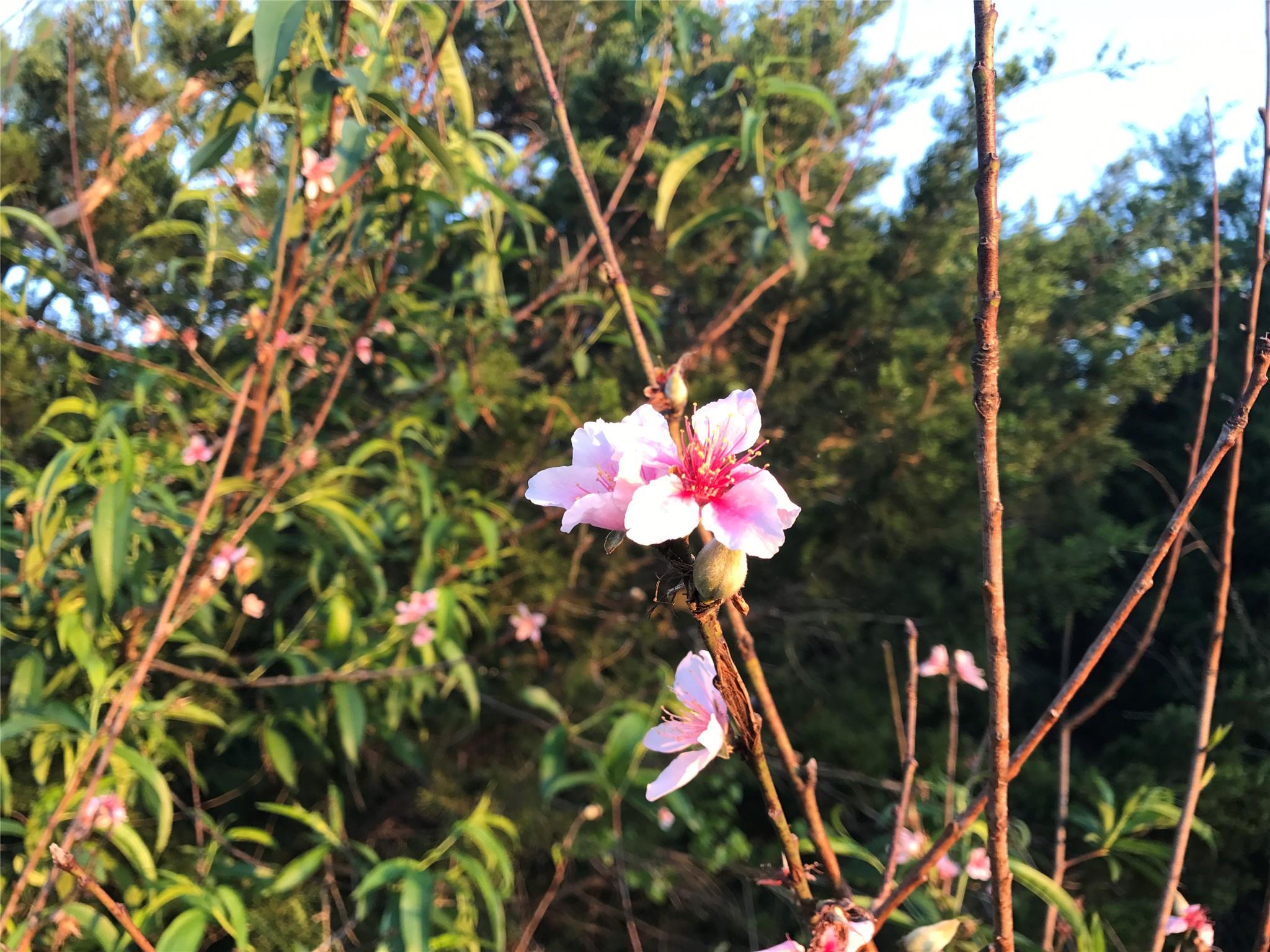 15501 Goforth Rd, Buda, TX 78610