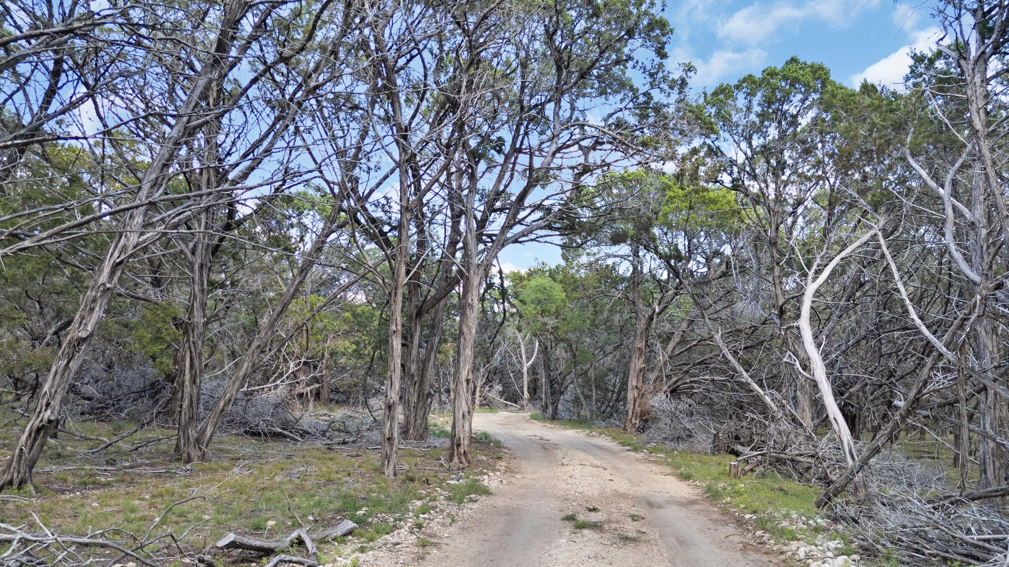 4314 County Road 108, Burnet, TX 78611