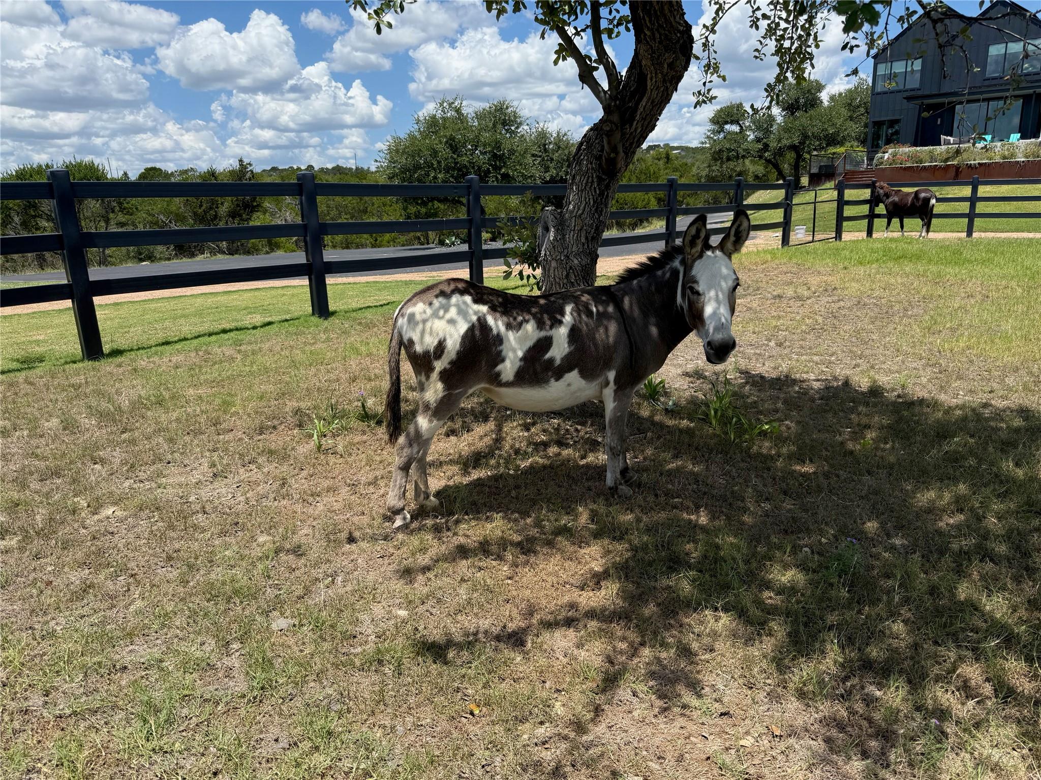 475 Happy Trl, Dripping Springs, TX 78620