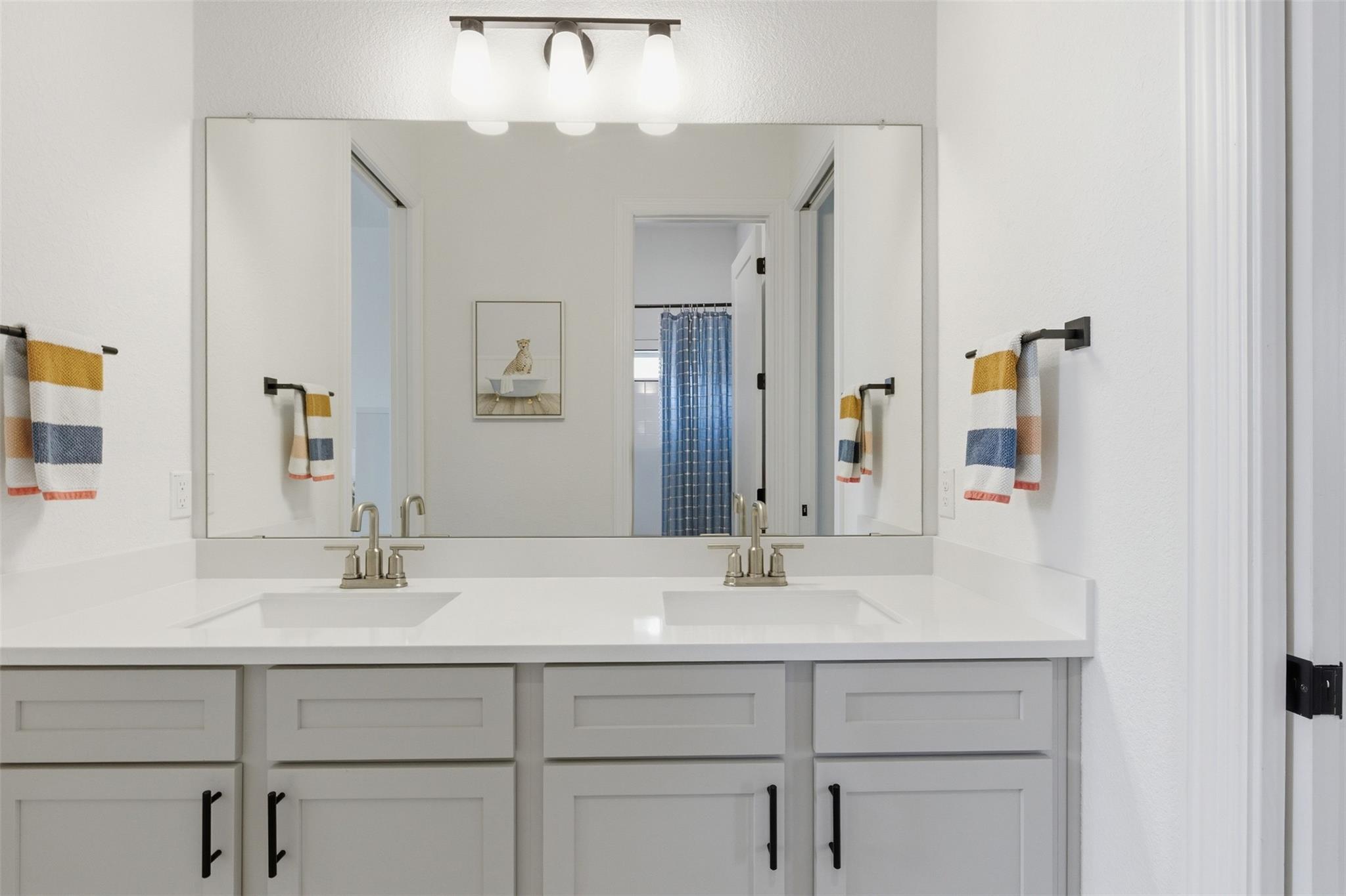 14328 Grassley Trl, Manor, TX 78653