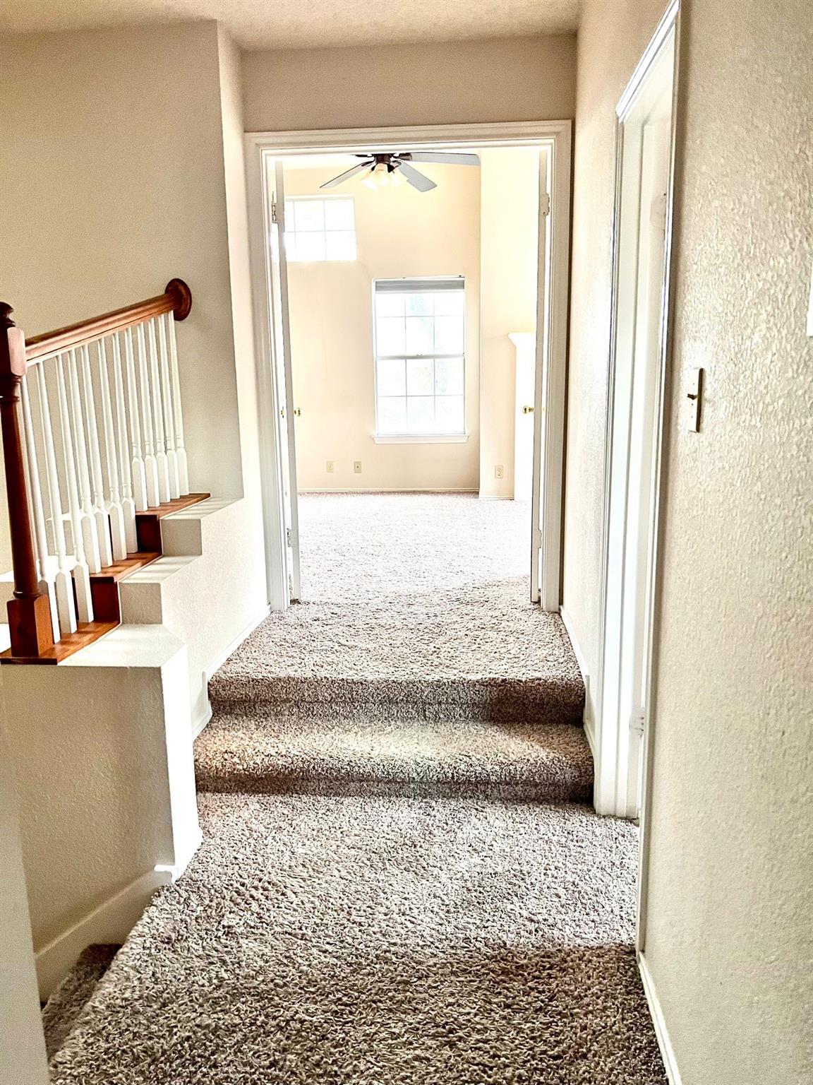 2904 Wren Cir, Cedar Park, TX 78613