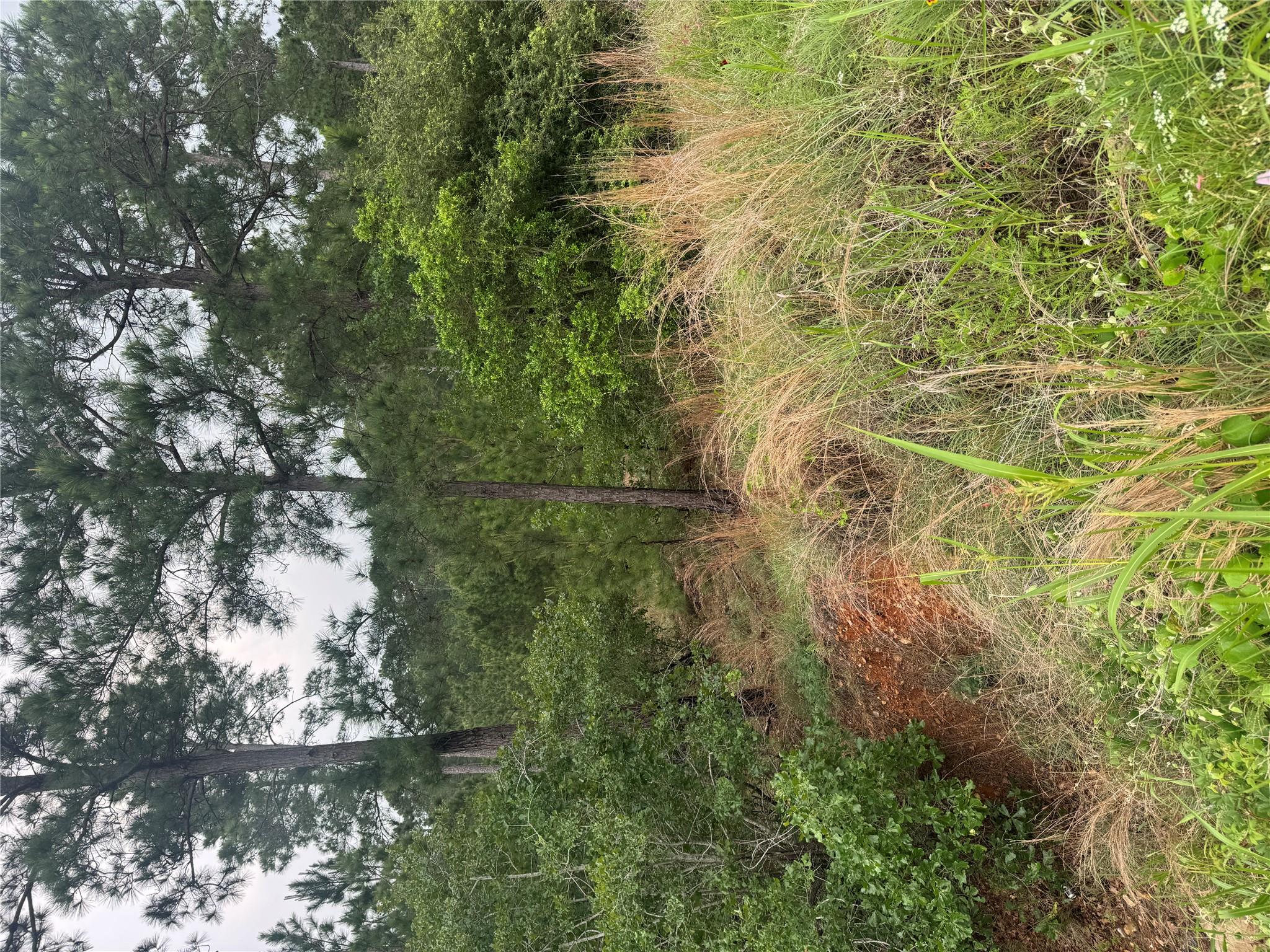 Lot 1613 Kaanapali Ln, Bastrop, TX 78602