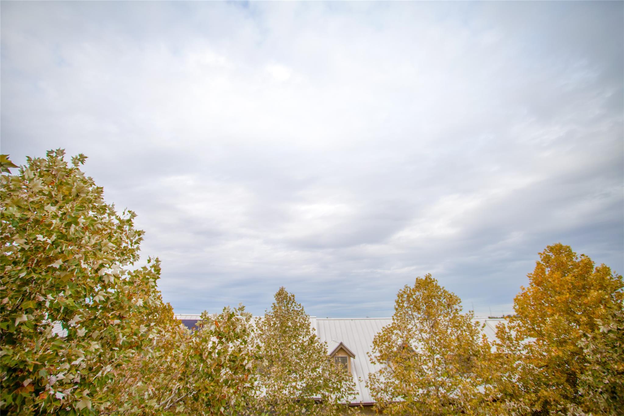 224 Adams St, Georgetown, TX 78628