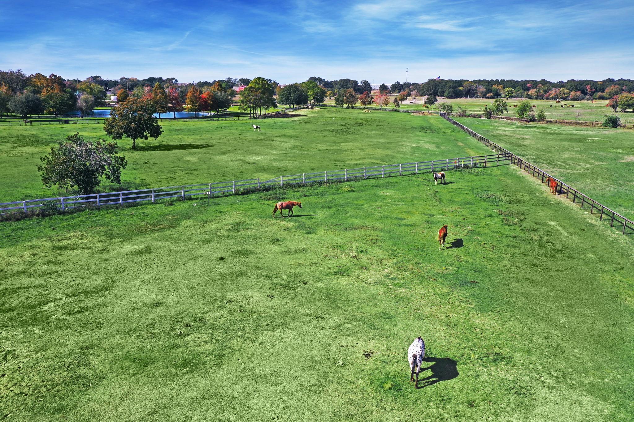 1834 Fm 1463 Rd, Katy, TX 77494