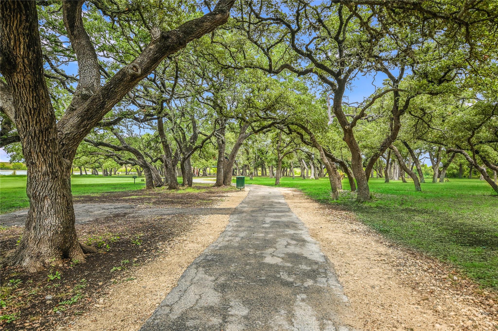 1317 Aquilla Ln, Leander, TX 78641