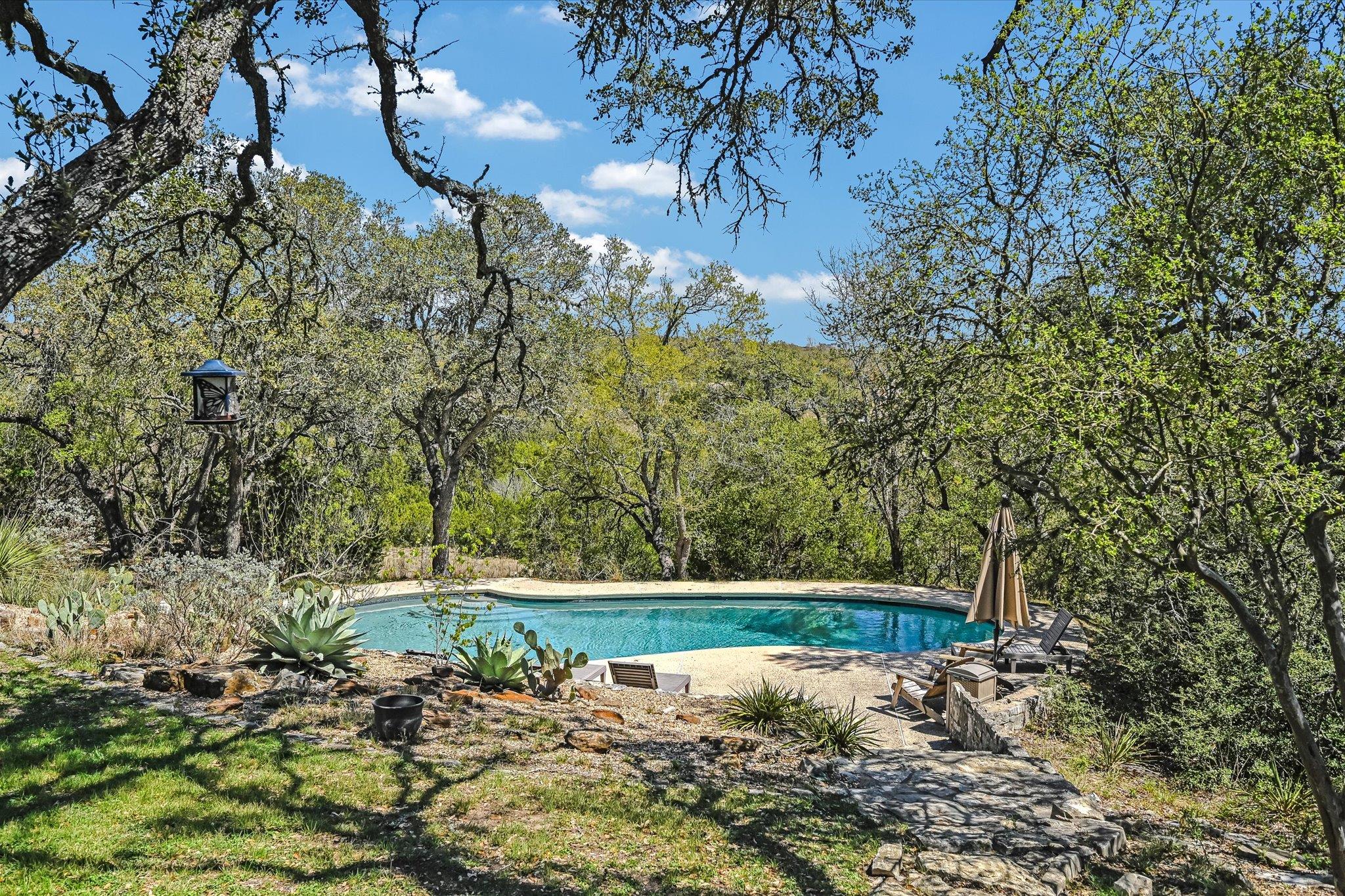 411 Whitetail Ridge Rd, Dripping Springs, TX 78620