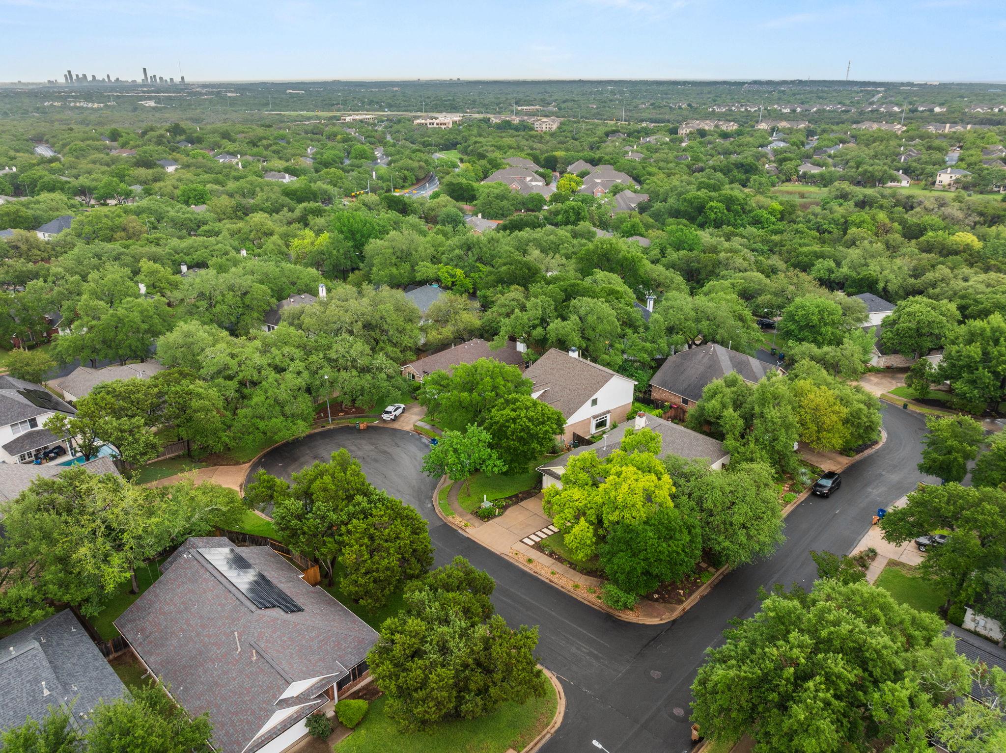 8909 Lomita Verde Ct, Austin, TX 78749