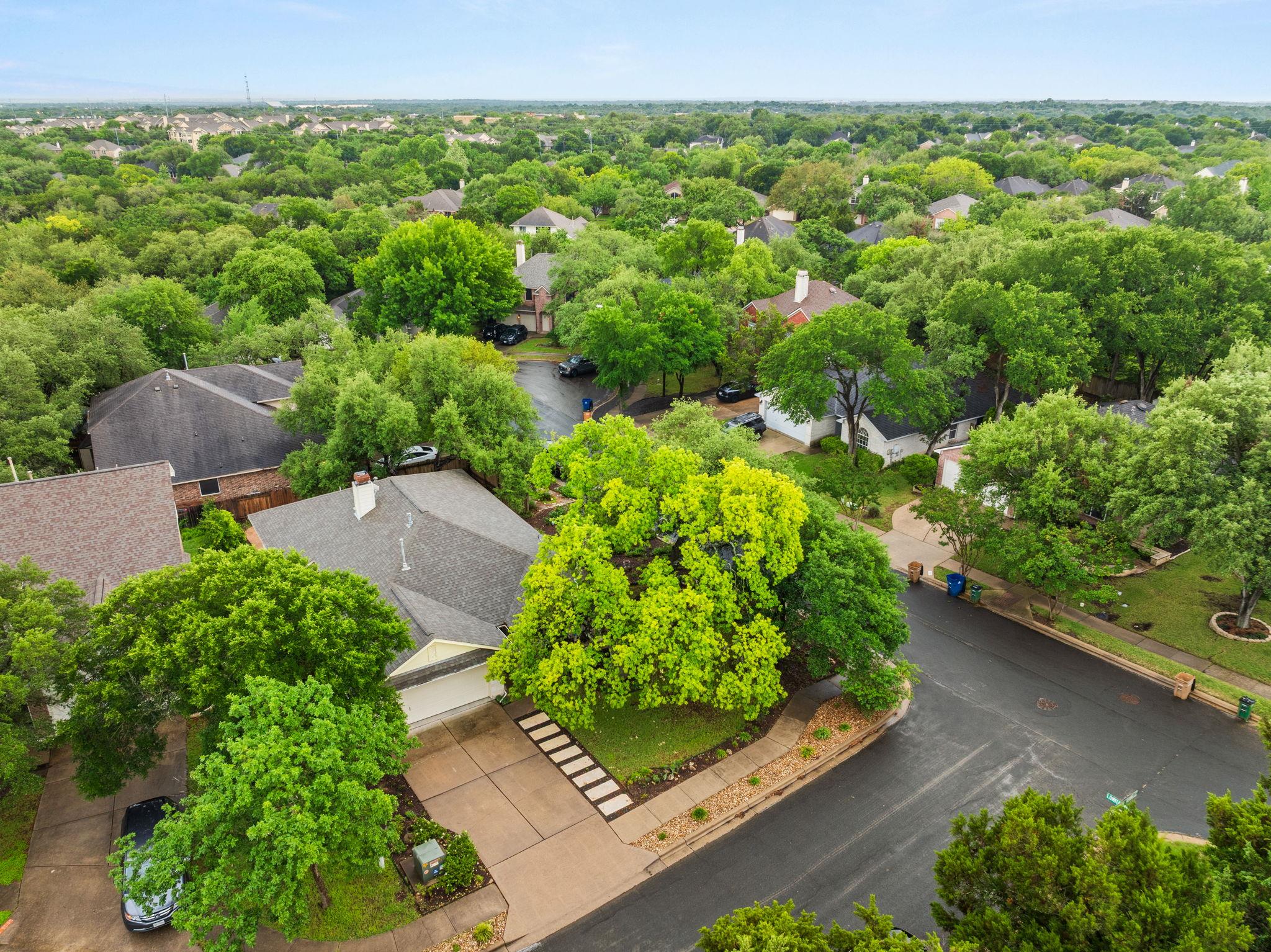 8909 Lomita Verde Ct, Austin, TX 78749