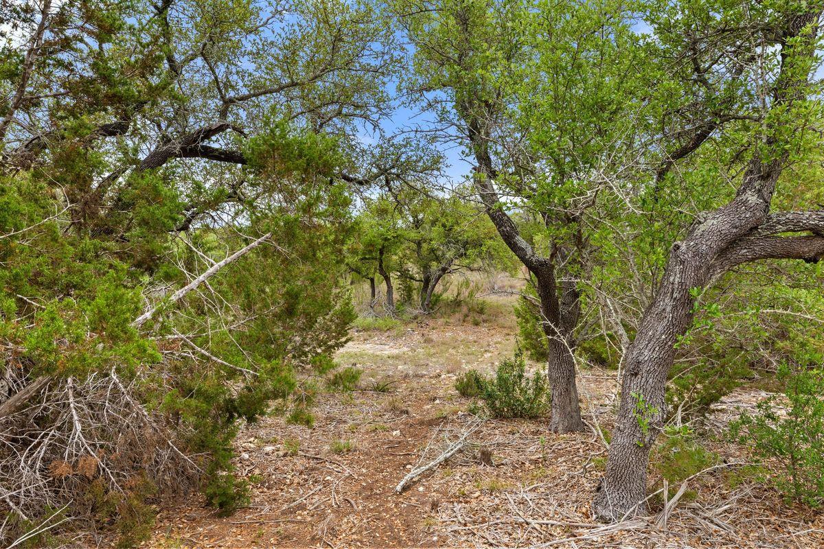 83 S Flat Rock Way, Johnson City, TX 78636