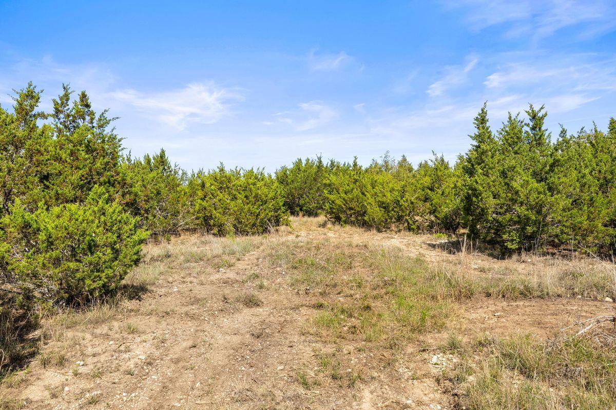 83 S Flat Rock Way, Johnson City, TX 78636