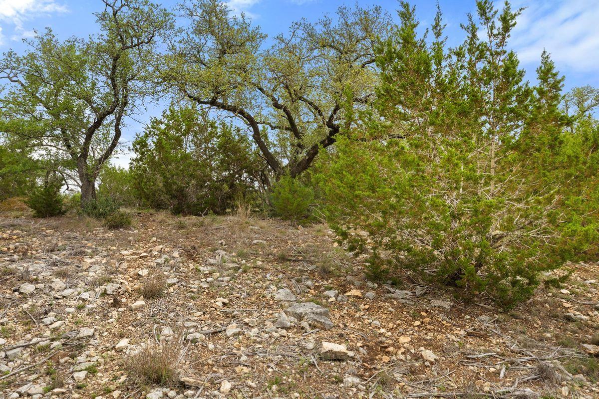 83 S Flat Rock Way, Johnson City, TX 78636