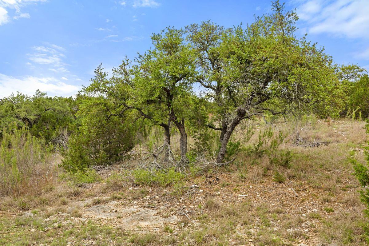 83 S Flat Rock Way, Johnson City, TX 78636