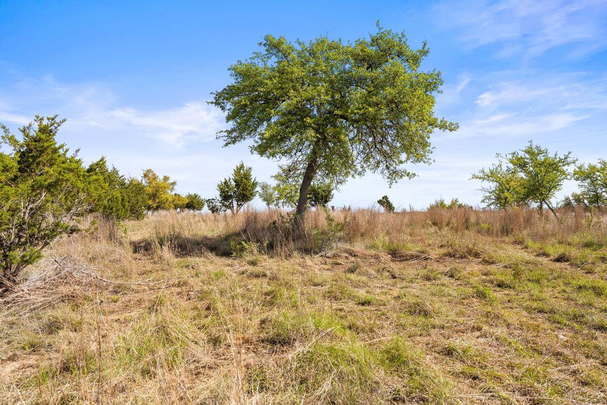 83 S Flat Rock Way, Johnson City, TX 78636