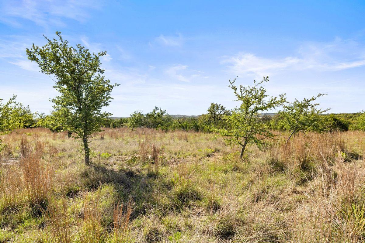 83 S Flat Rock Way, Johnson City, TX 78636