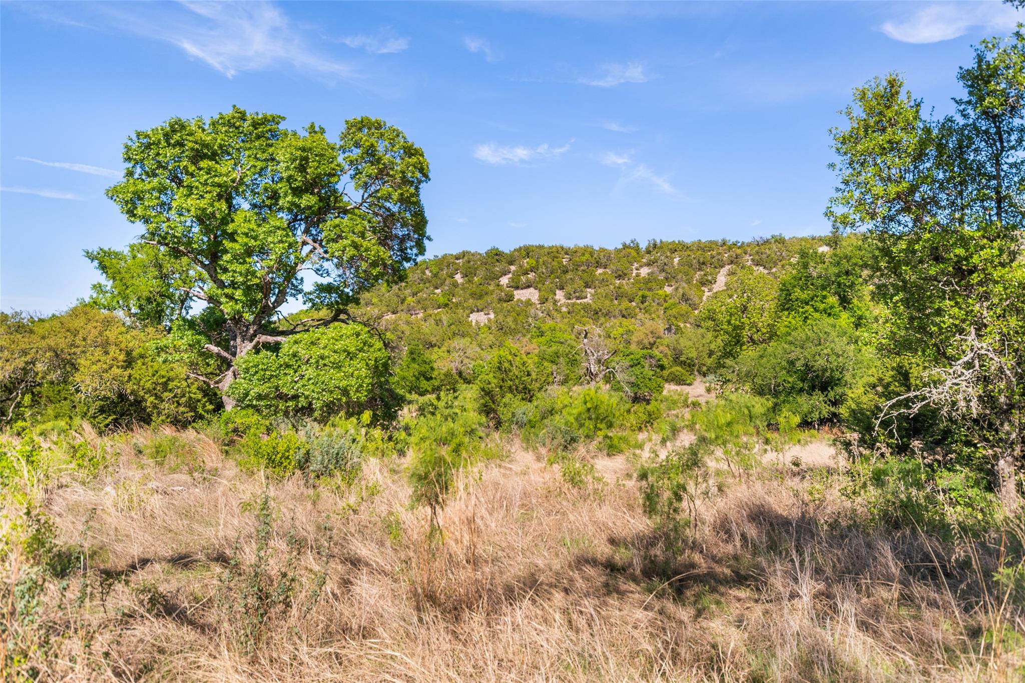 743 Welgehausen Rd, Fredericksburg, TX 78624