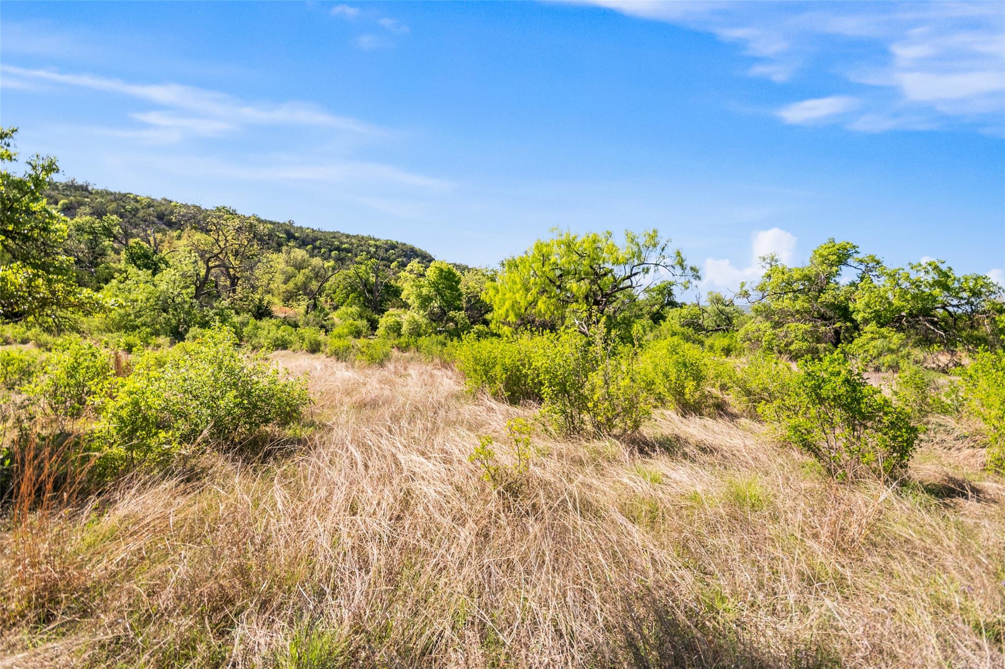 743 Welgehausen Rd, Fredericksburg, TX 78624