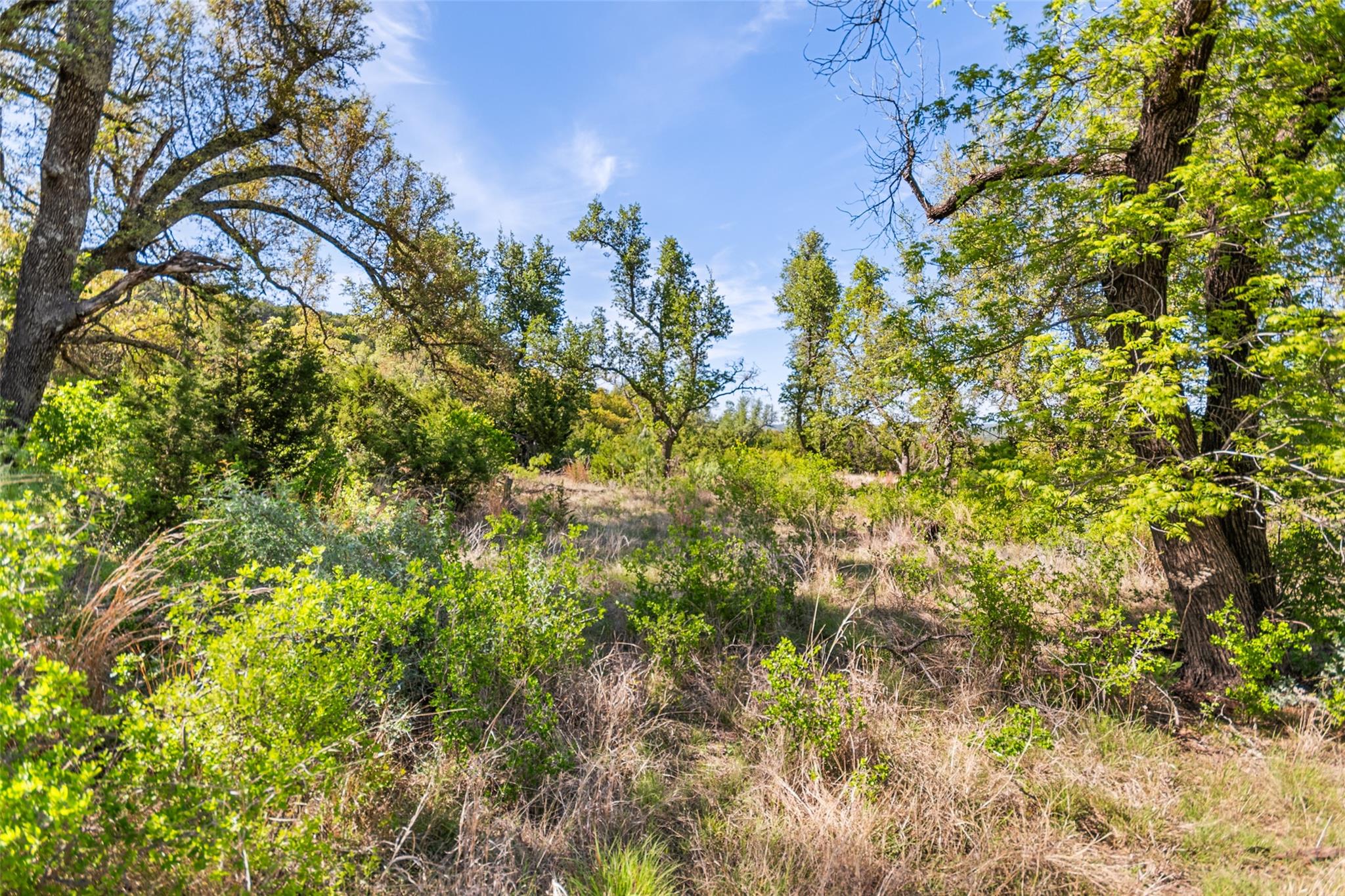 743 Welgehausen Rd, Fredericksburg, TX 78624