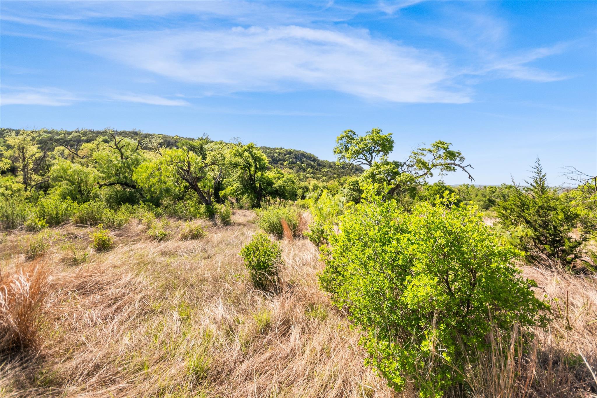 743 Welgehausen Rd, Fredericksburg, TX 78624