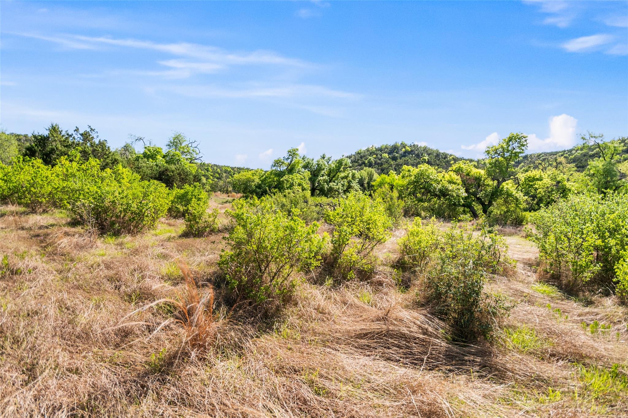 743 Welgehausen Rd, Fredericksburg, TX 78624