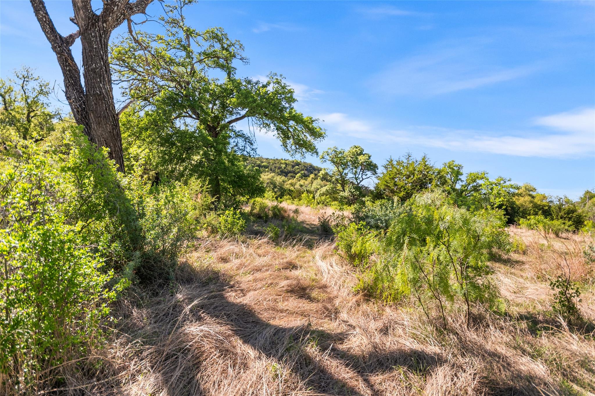 743 Welgehausen Rd, Fredericksburg, TX 78624