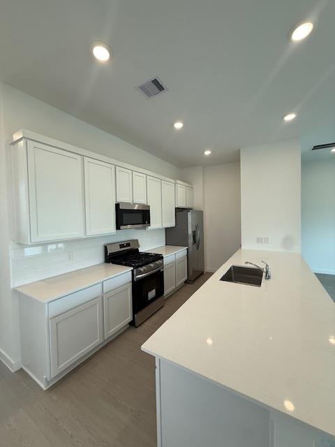 12623 Blue Catfish Ln, Cypress, TX 77433