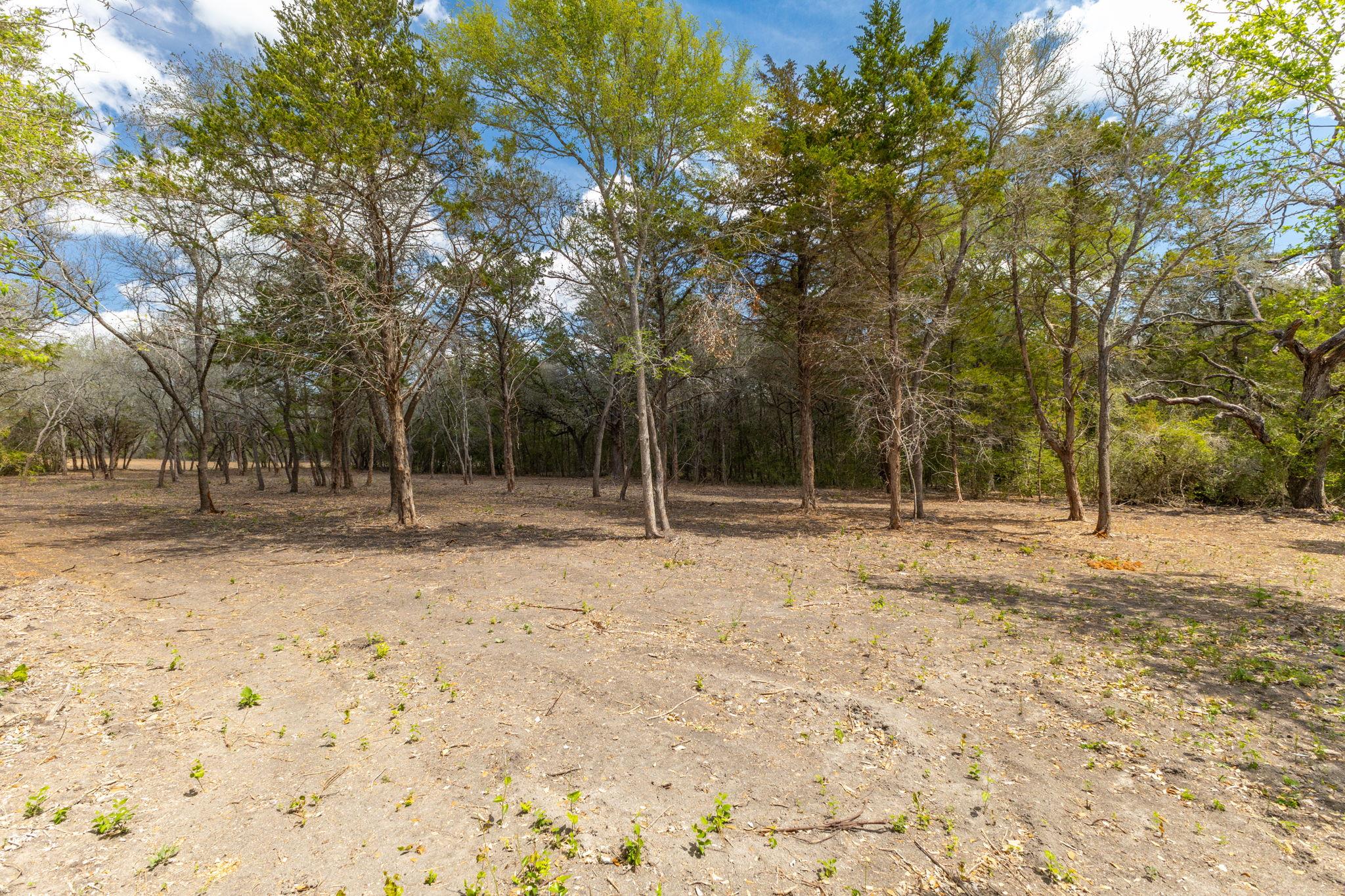 1910 (Tract #1) Baca Loop, Flatonia, TX 78941