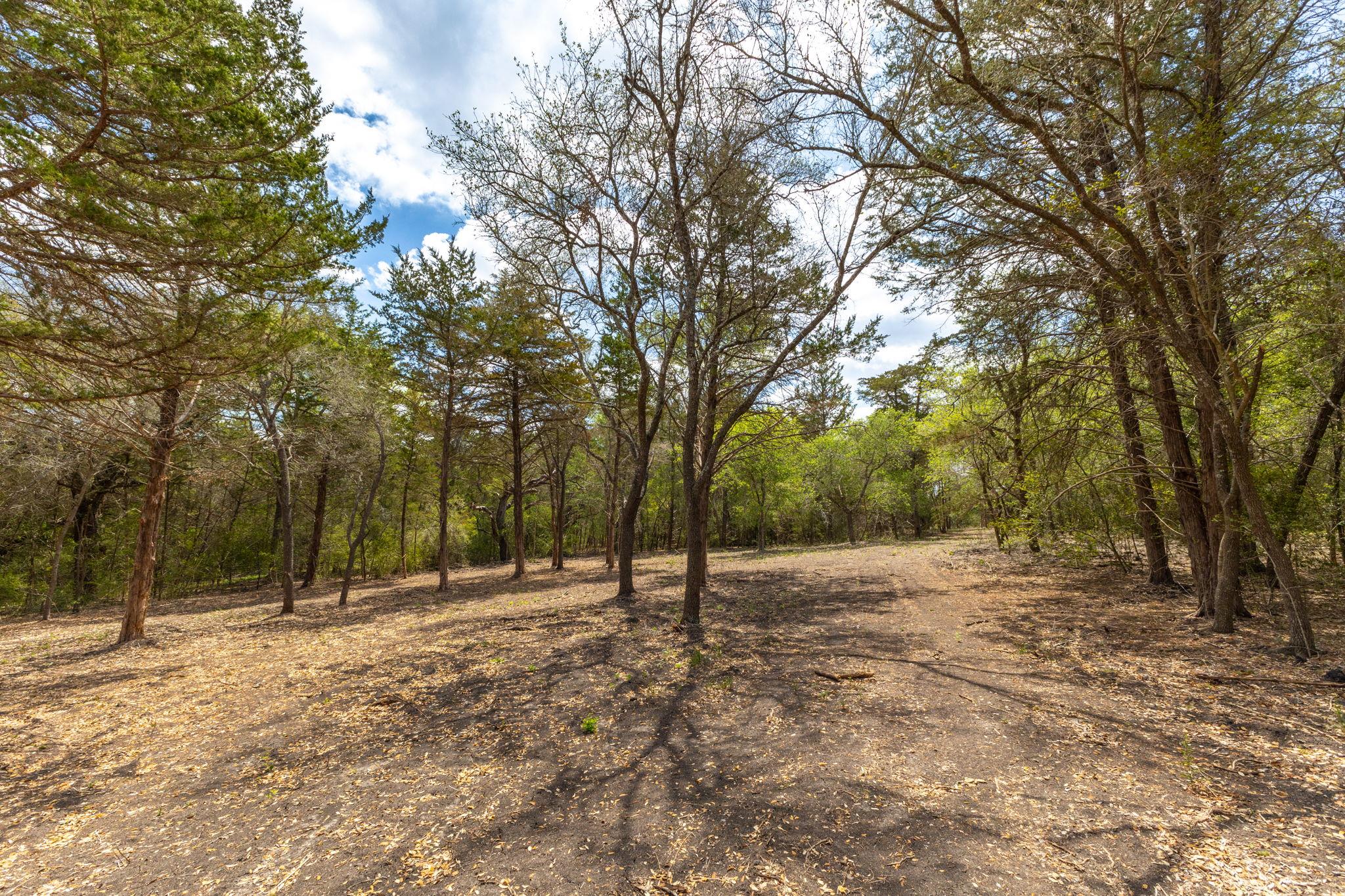 1910 (Tract #1) Baca Loop, Flatonia, TX 78941