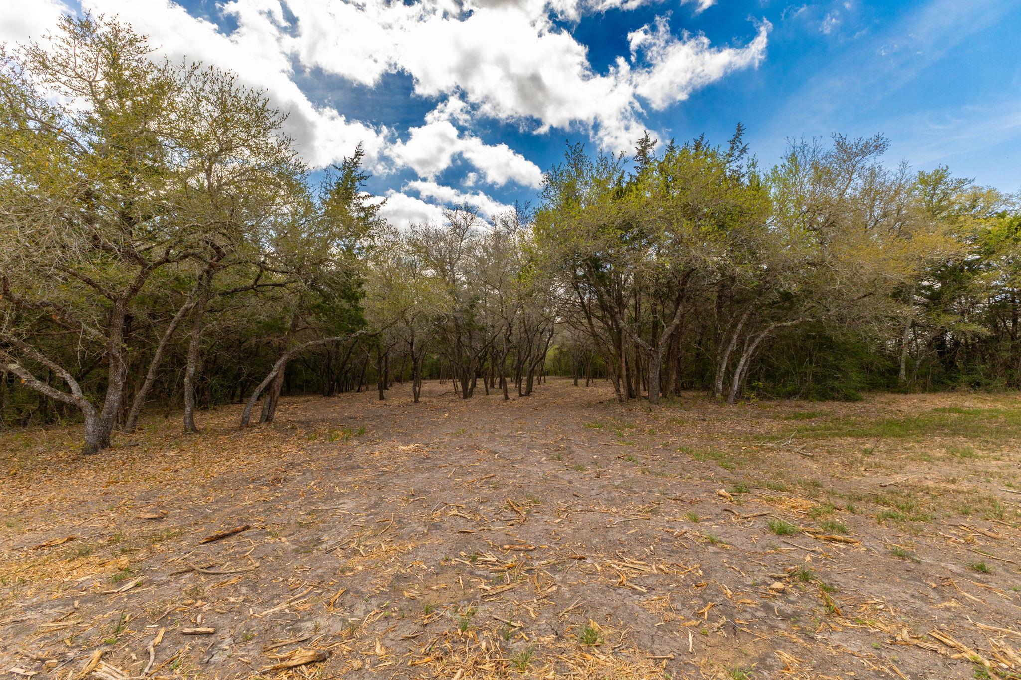 1910 (Tract #1) Baca Loop, Flatonia, TX 78941