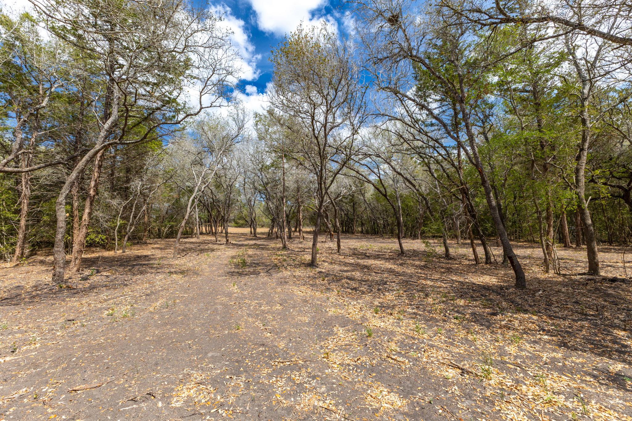 1910 (Tract #1) Baca Loop, Flatonia, TX 78941