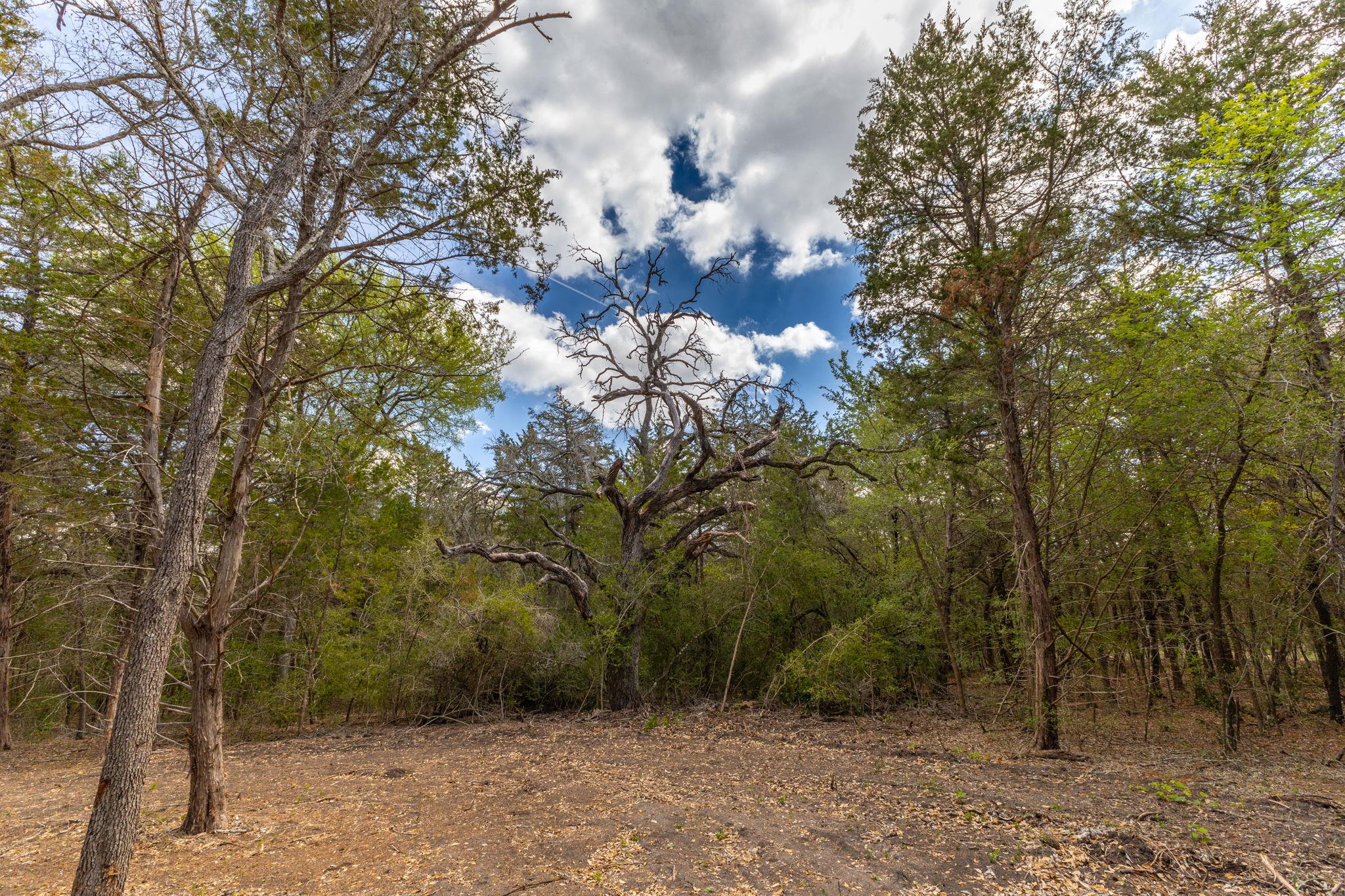 1910 (Tract #1) Baca Loop, Flatonia, TX 78941