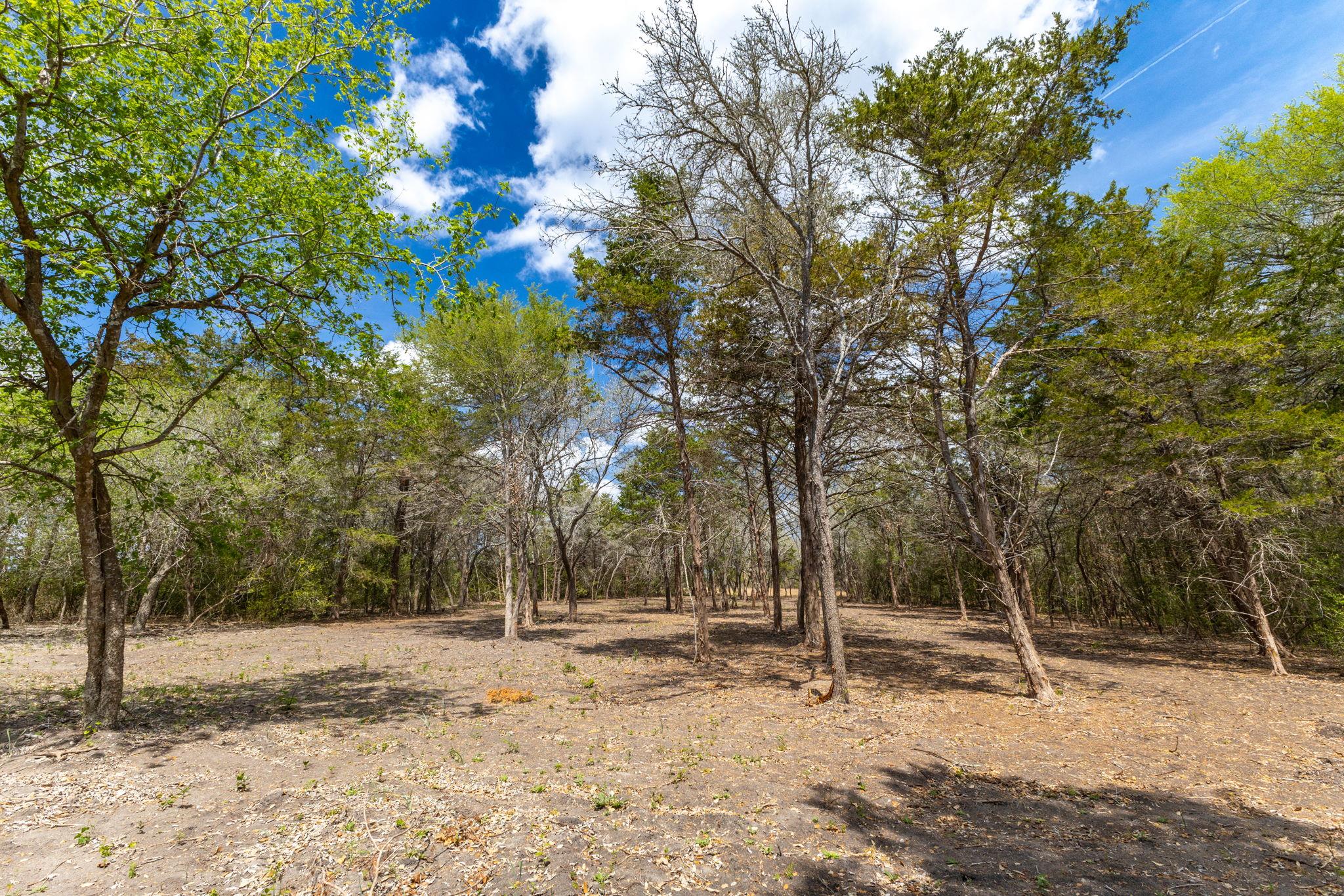 1910 (Tract #1) Baca Loop, Flatonia, TX 78941