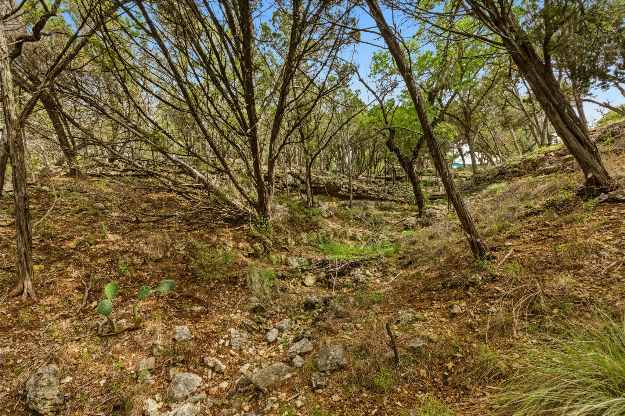 410 Cedar Bend Rd, Wimberley, TX 78676