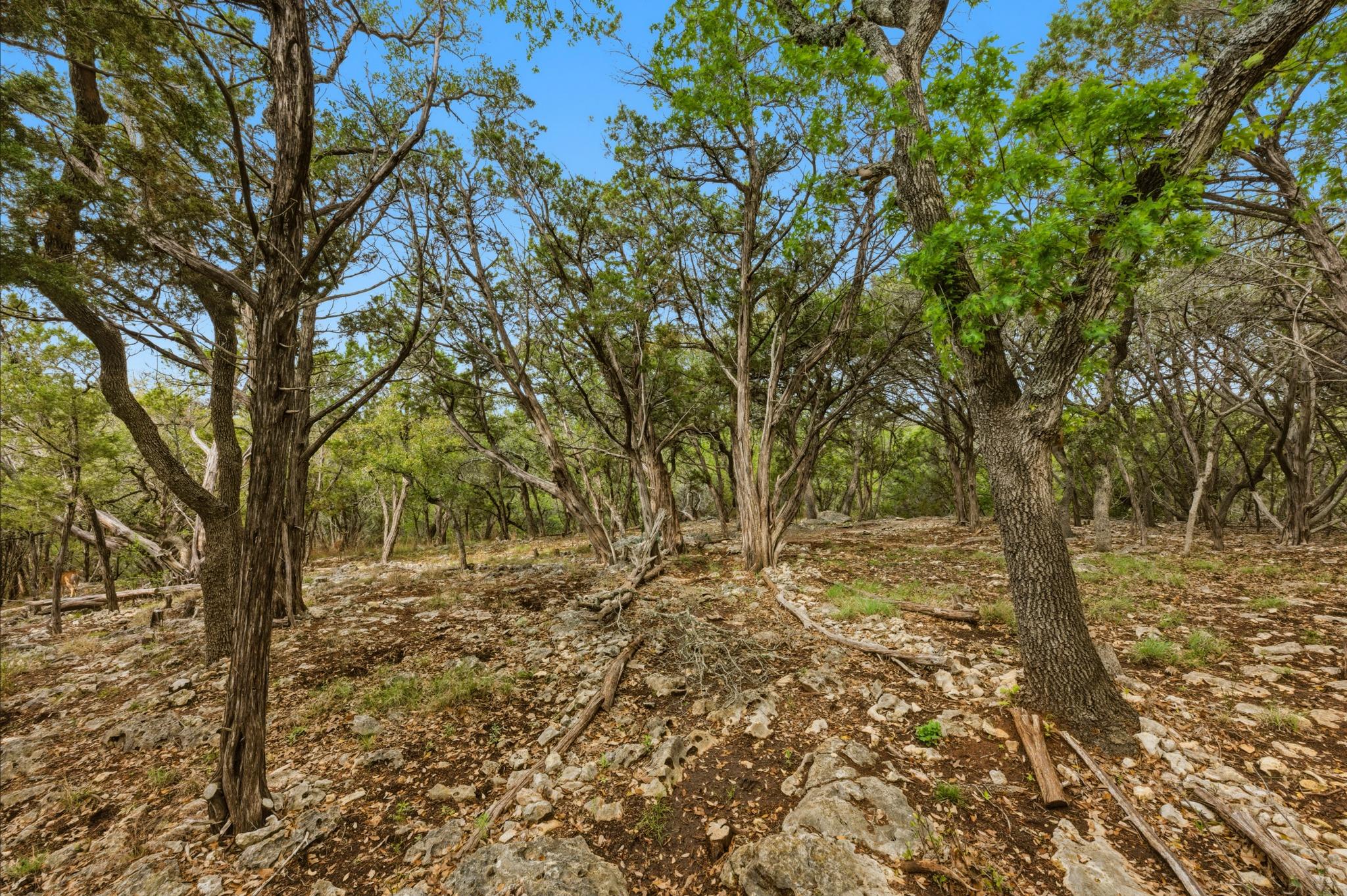410 Cedar Bend Rd, Wimberley, TX 78676