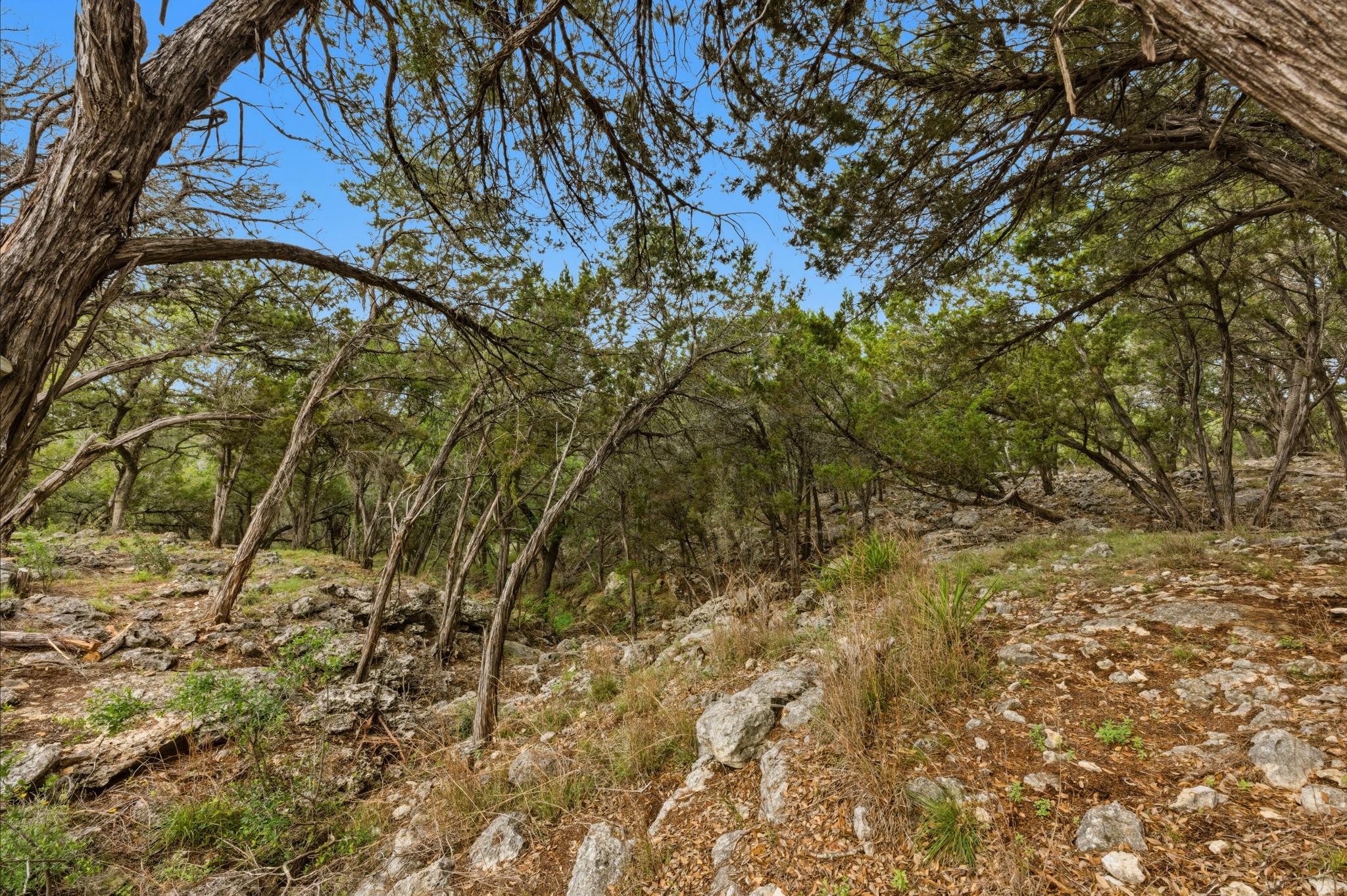 410 Cedar Bend Rd, Wimberley, TX 78676