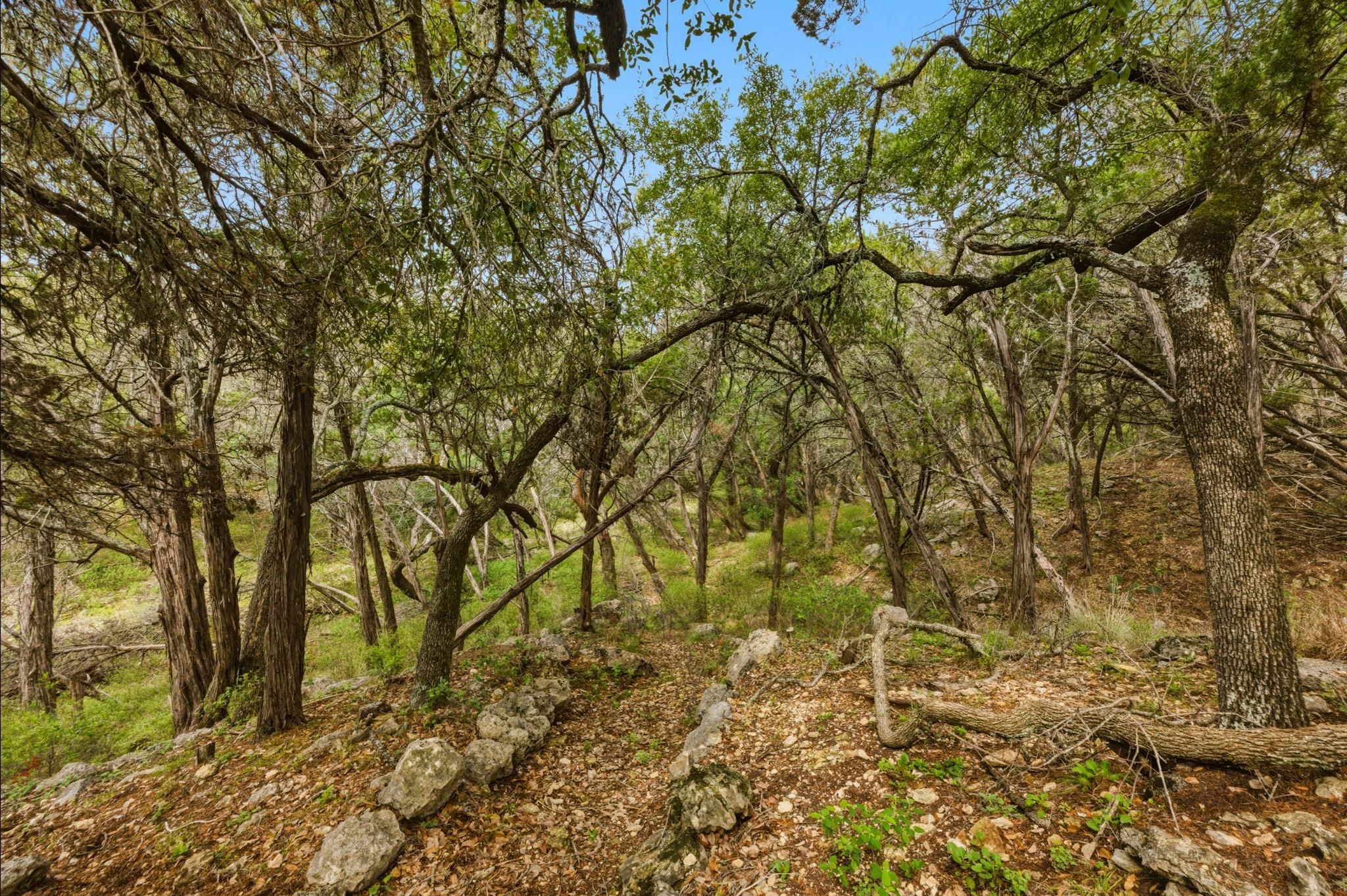 410 Cedar Bend Rd, Wimberley, TX 78676