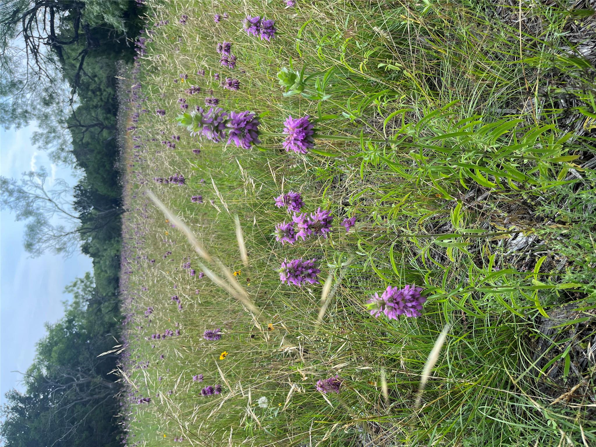 1745 County Road 2773, Lometa, TX 76853