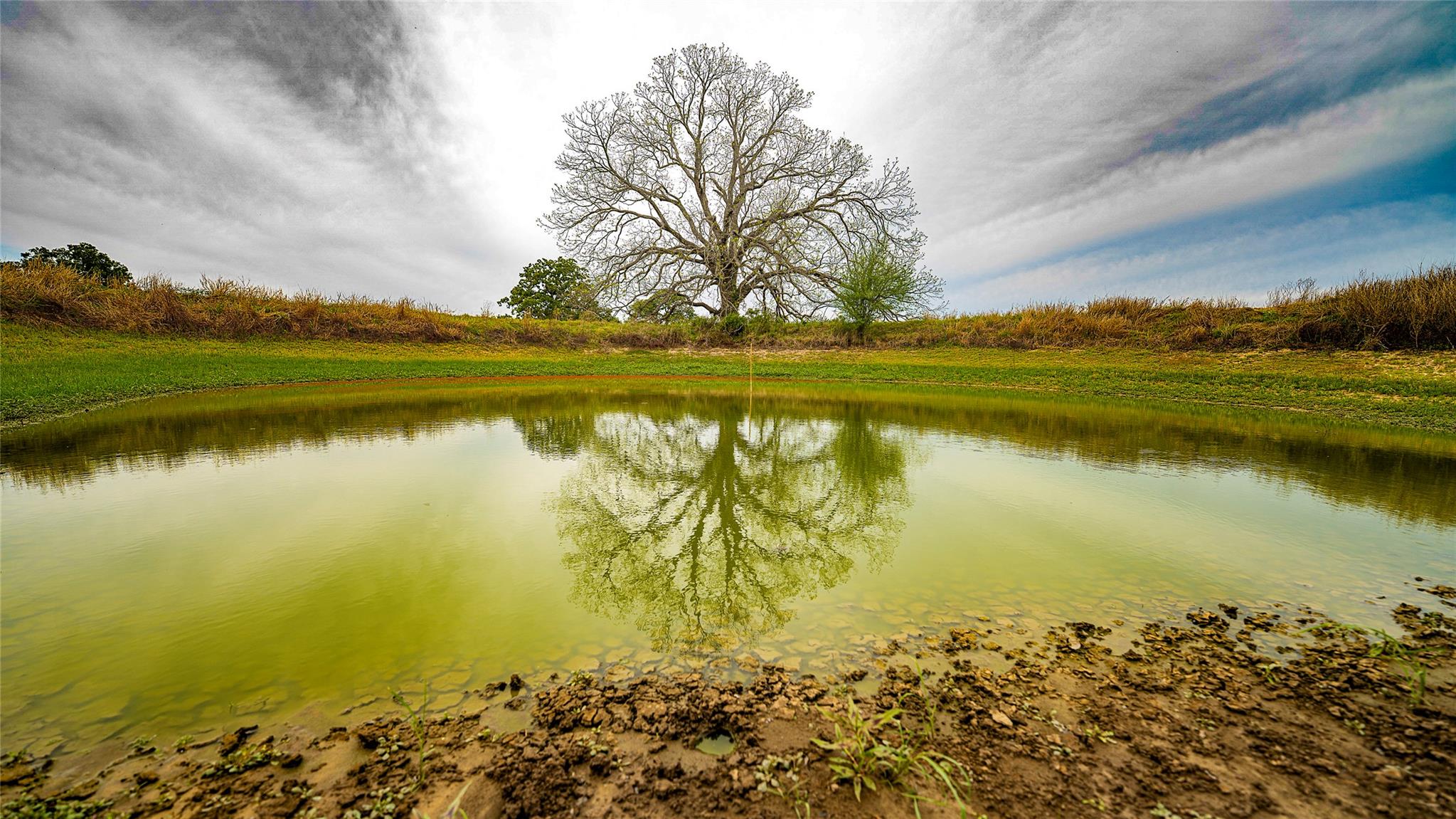 2234 County Road 434 Loop, Rockdale, TX 76567