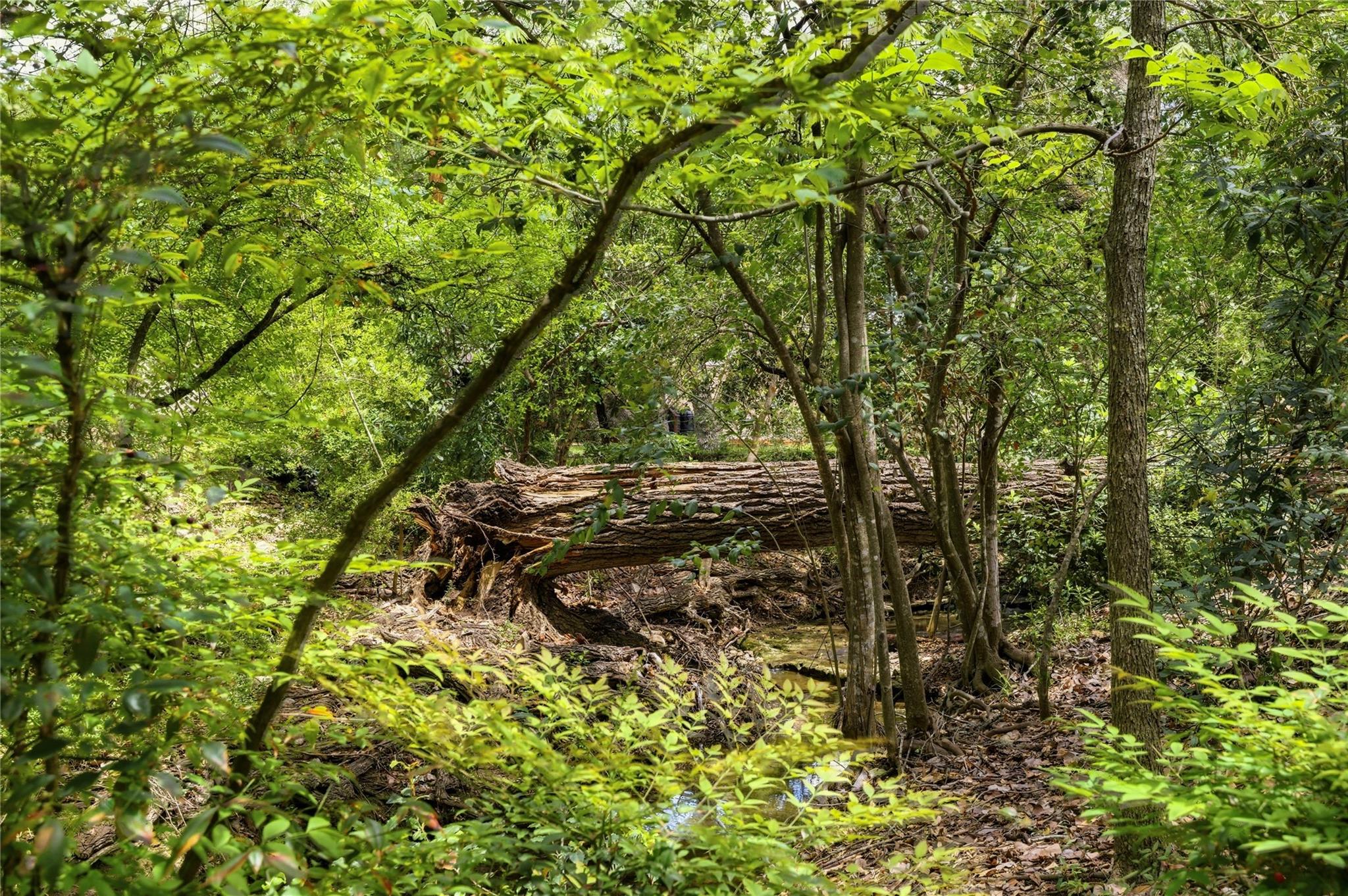 5902 Highland Pass, Austin, TX 78731