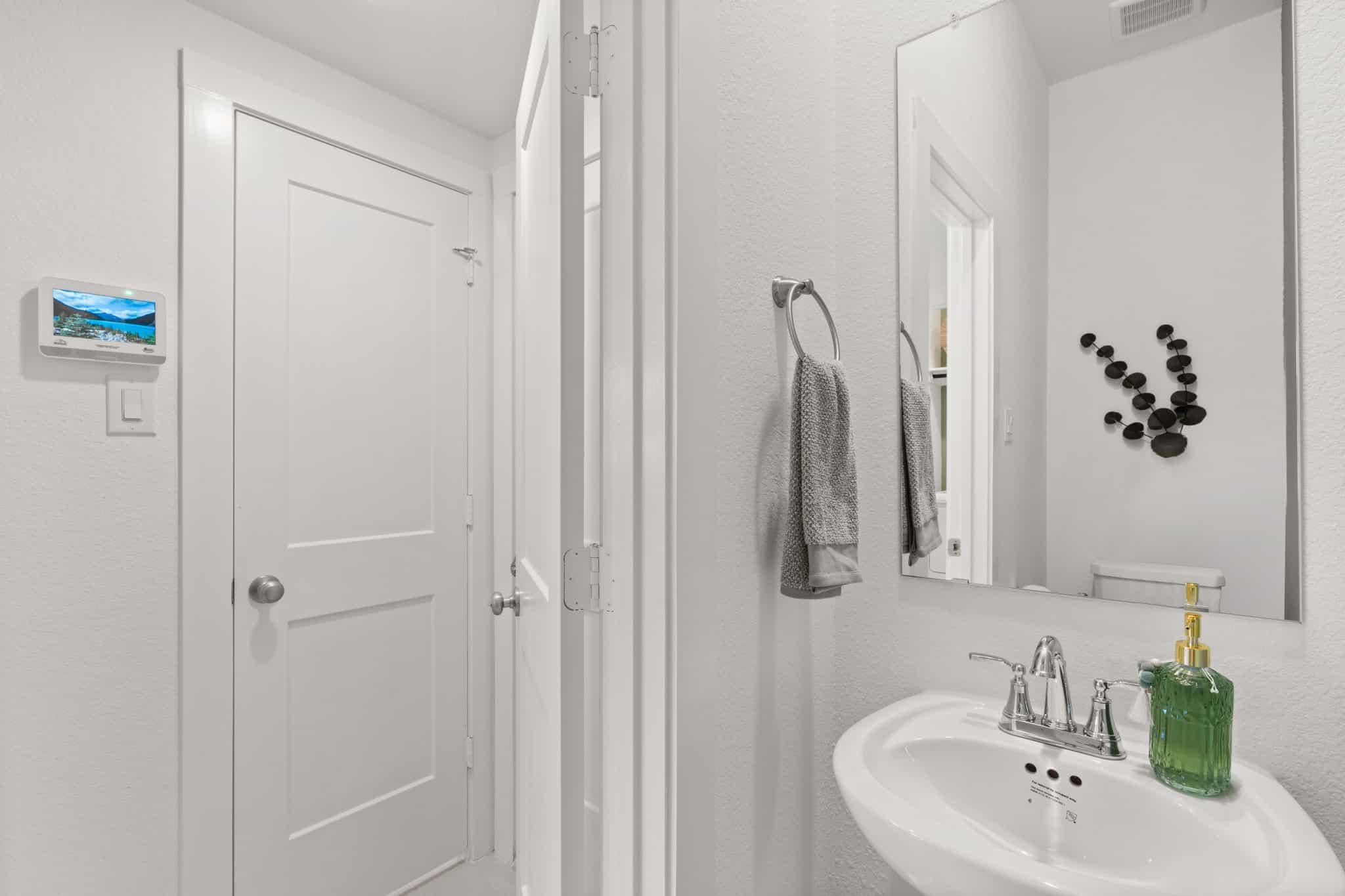 115 Flora Springs Cv, Liberty Hill, TX 78642