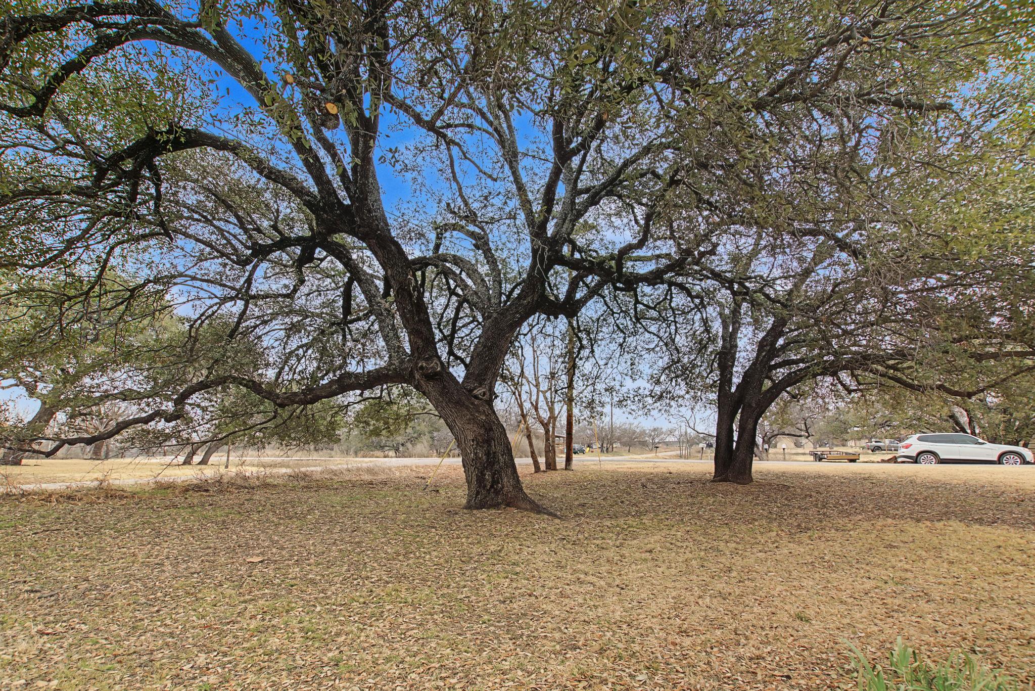 4308 Mountain View Dr, Kingsland, TX 78639