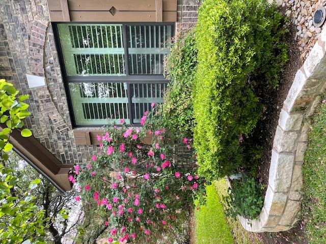 508 Trail Dust Dr, Cedar Park, TX 78613