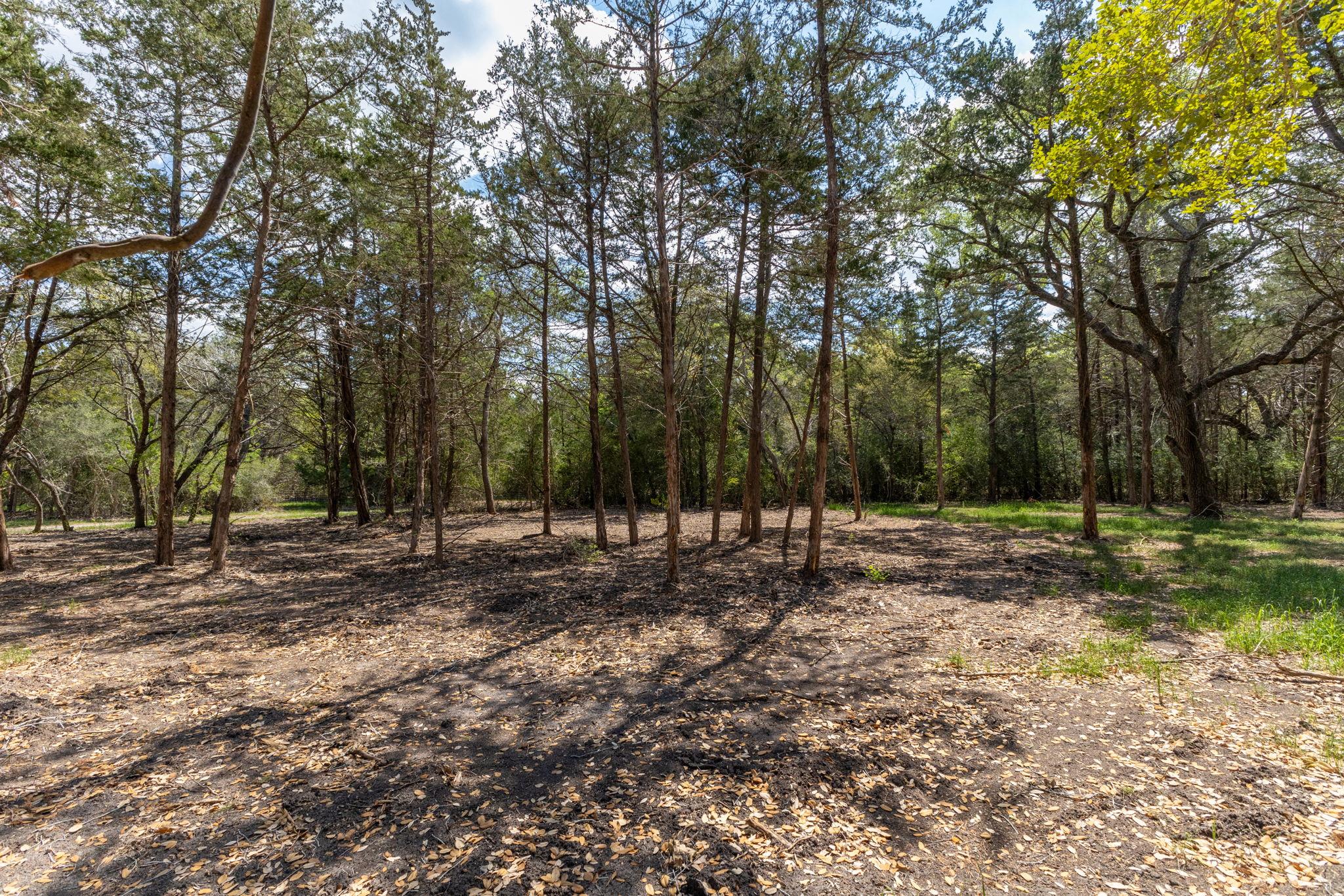 1956 (Tract #2) Baca Loop, Flatonia, TX 78941