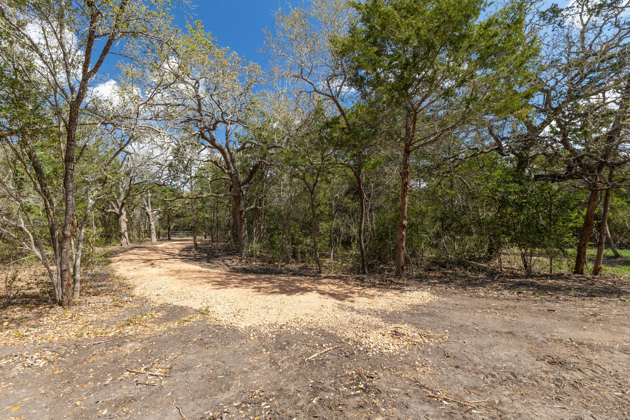 1956 (Tract #2) Baca Loop, Flatonia, TX 78941