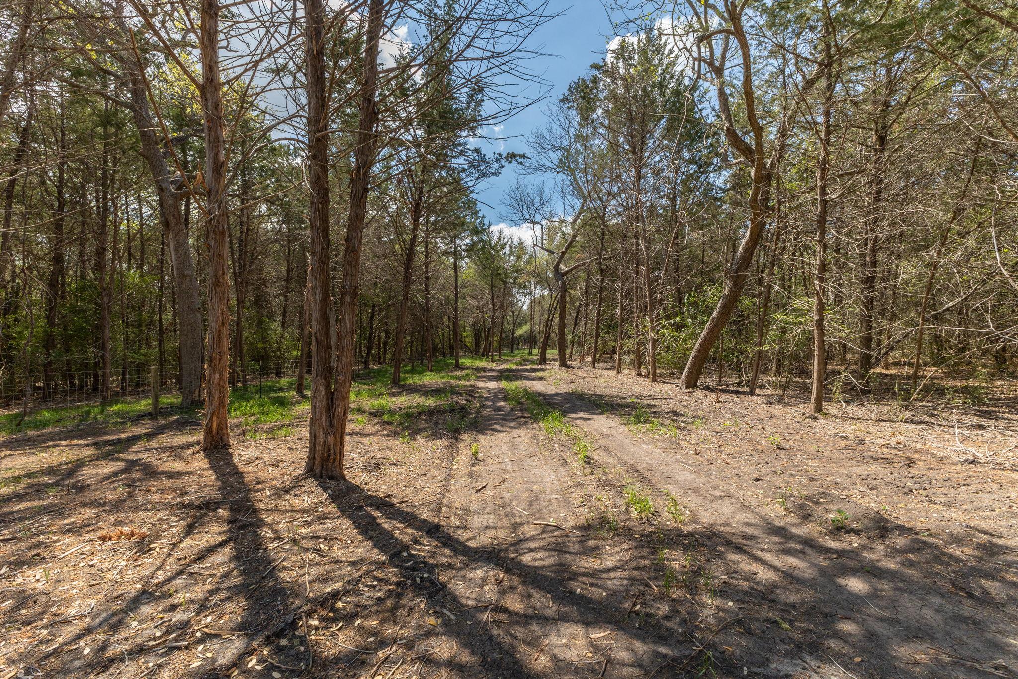 1956 (Tract #2) Baca Loop, Flatonia, TX 78941